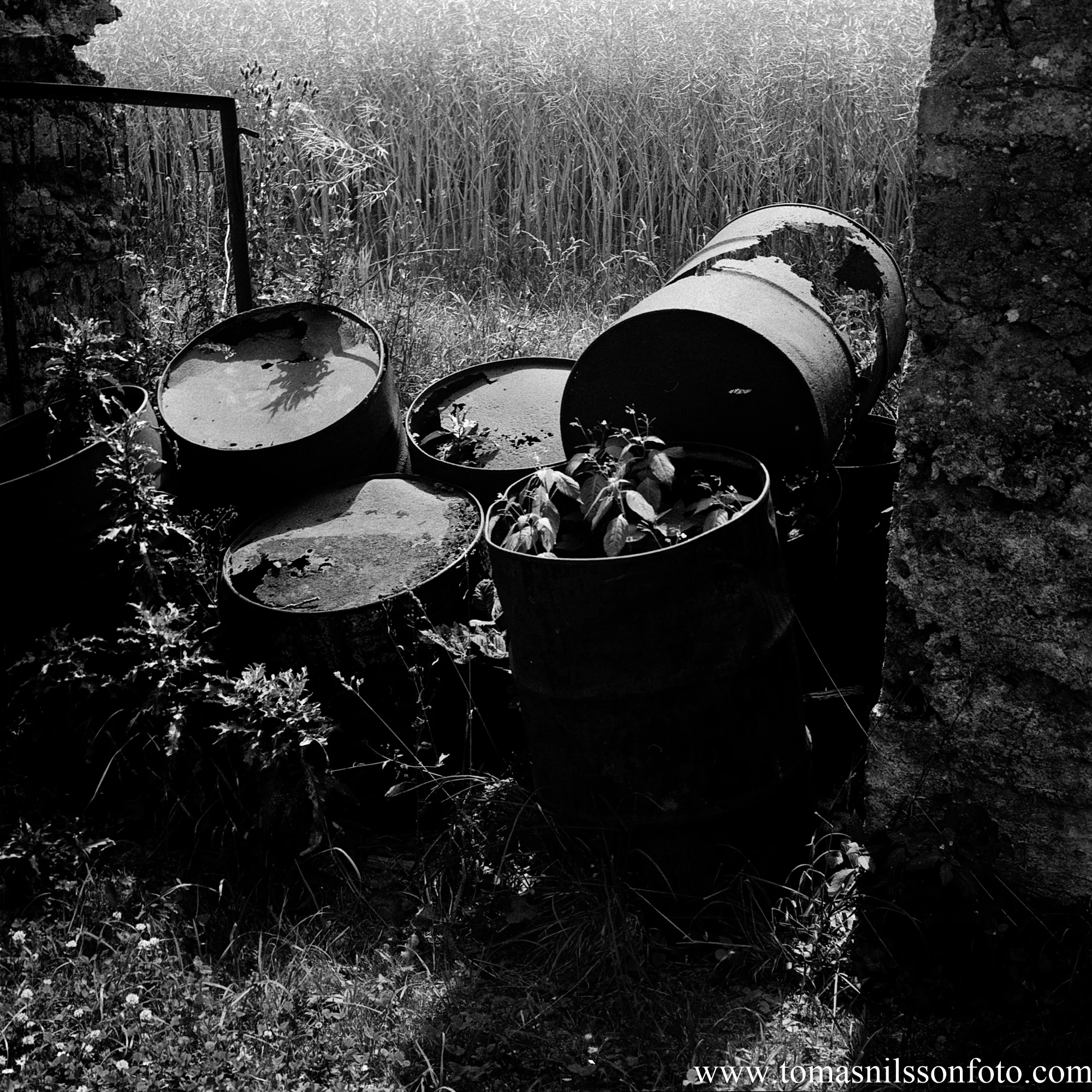 Beauty in decay