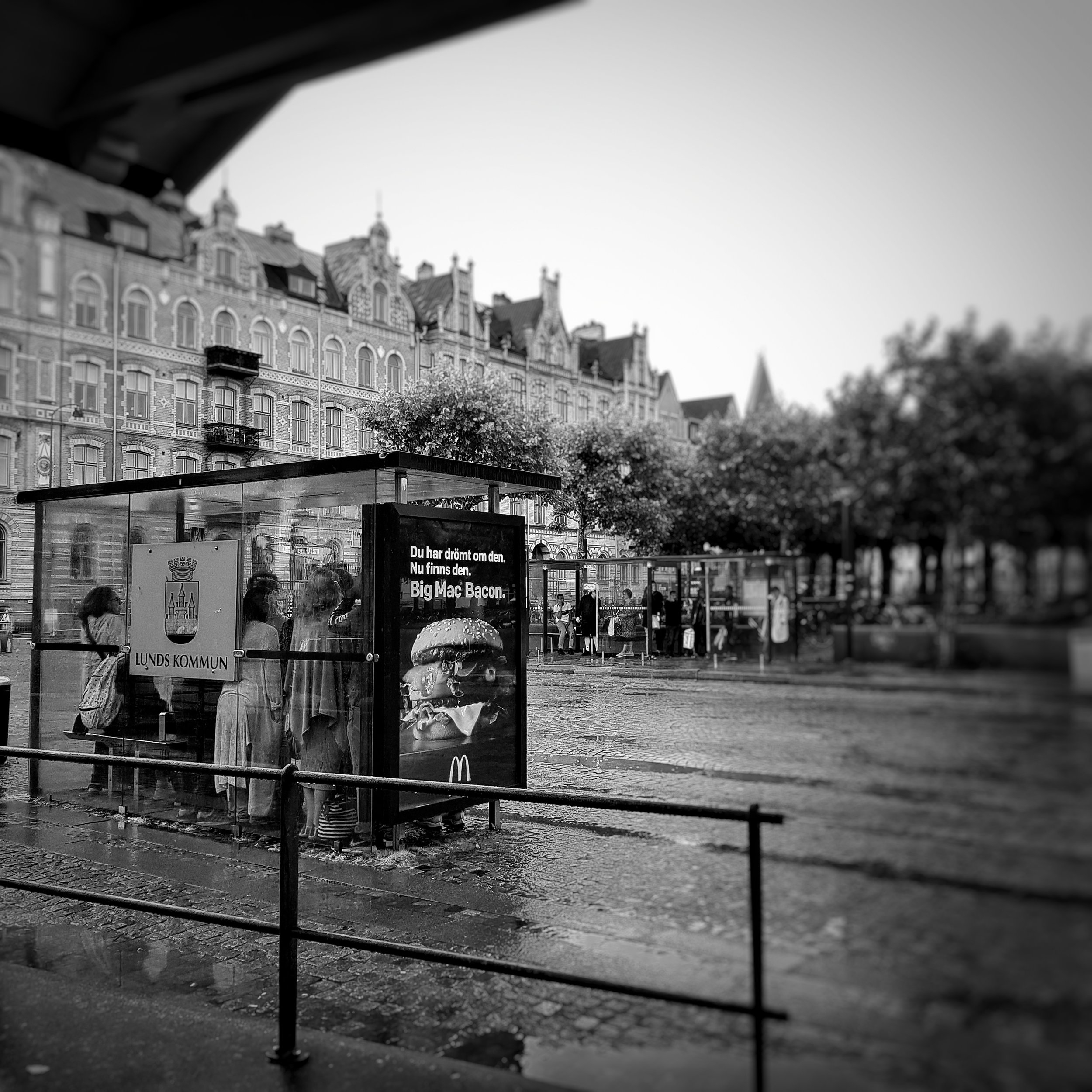 Day 212 - July 31: Gimme shelter...from the rain