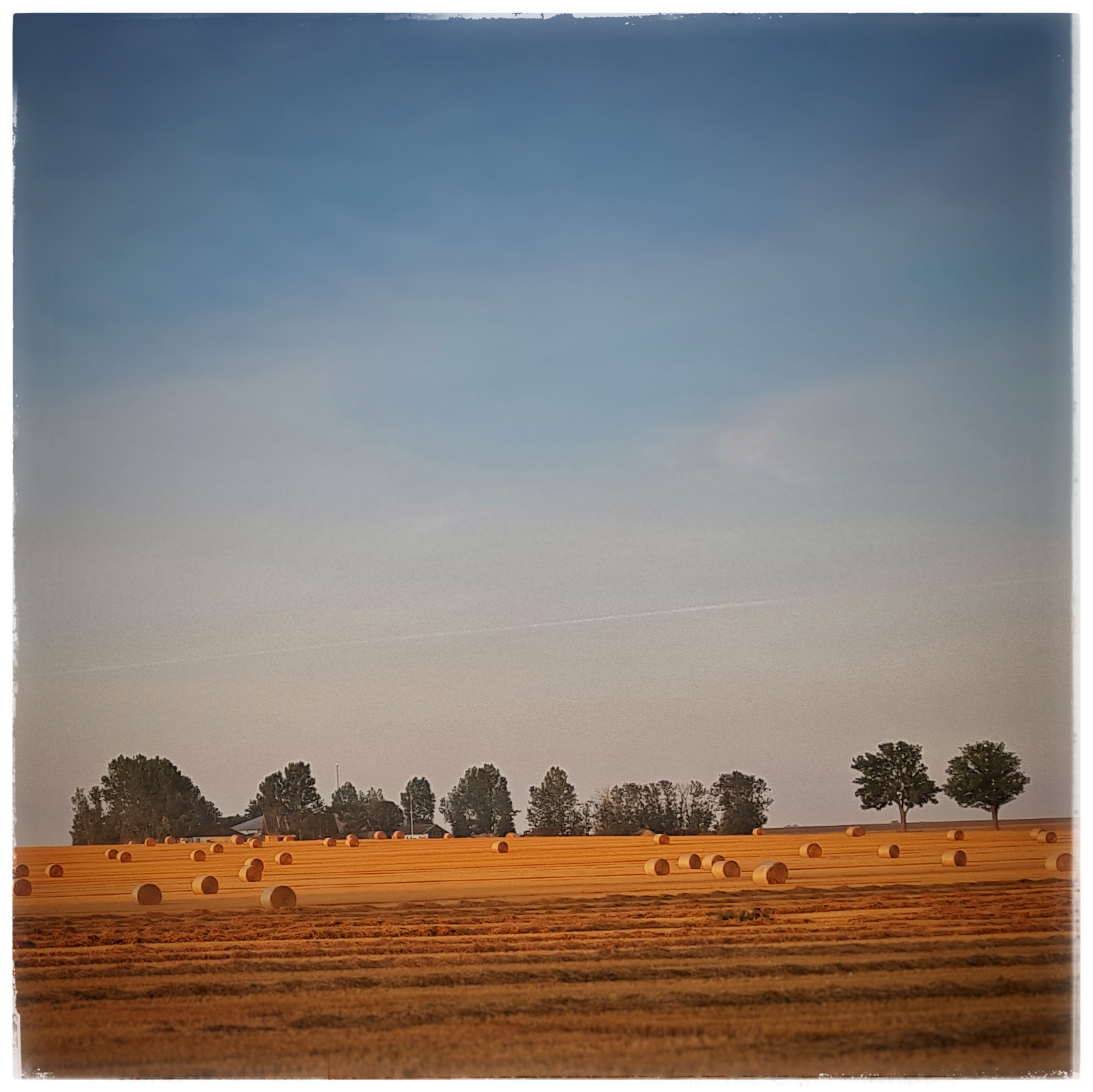 Day 234 - August 22: Out in the fields