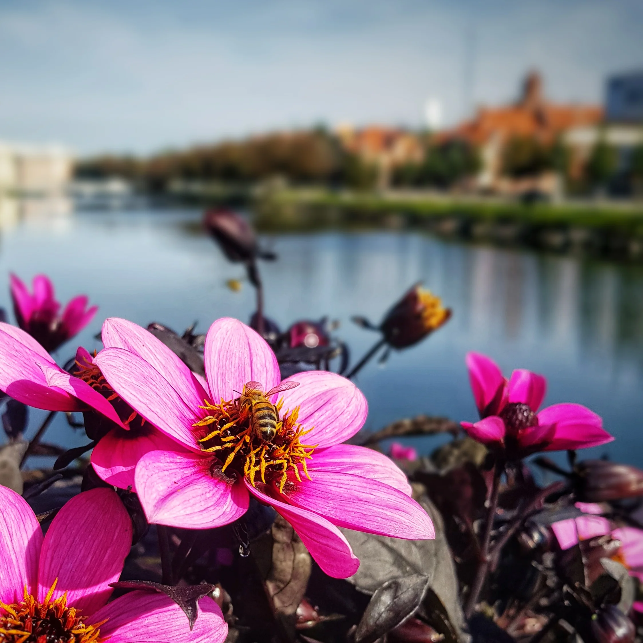 The 365 Project Mark IV - The Ninth Month Summary
