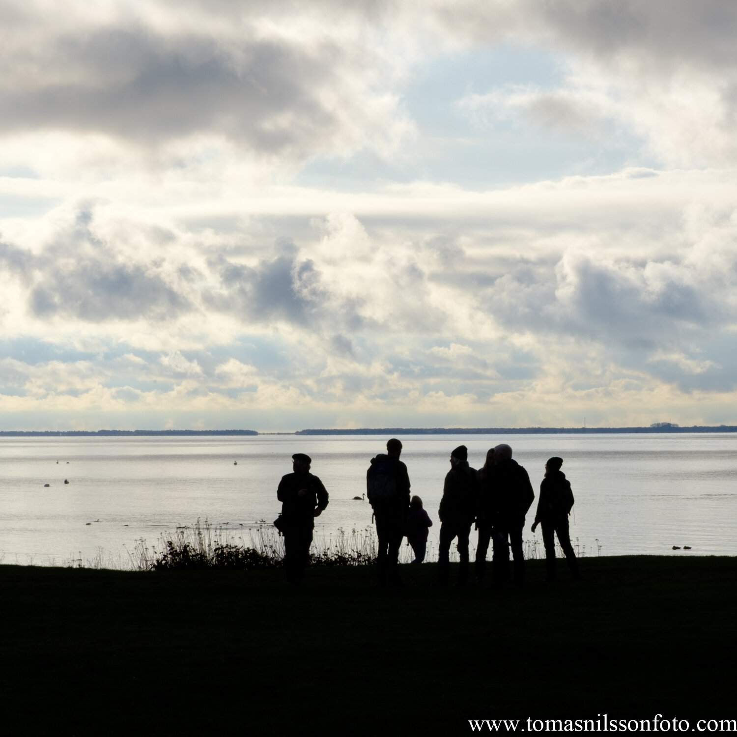 Day 315 - November 11: Photographers at the coast