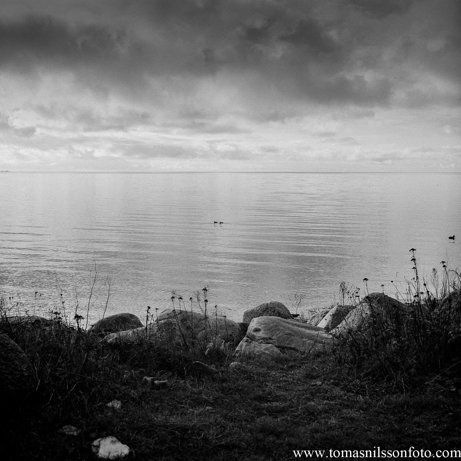 Medium format at the coast