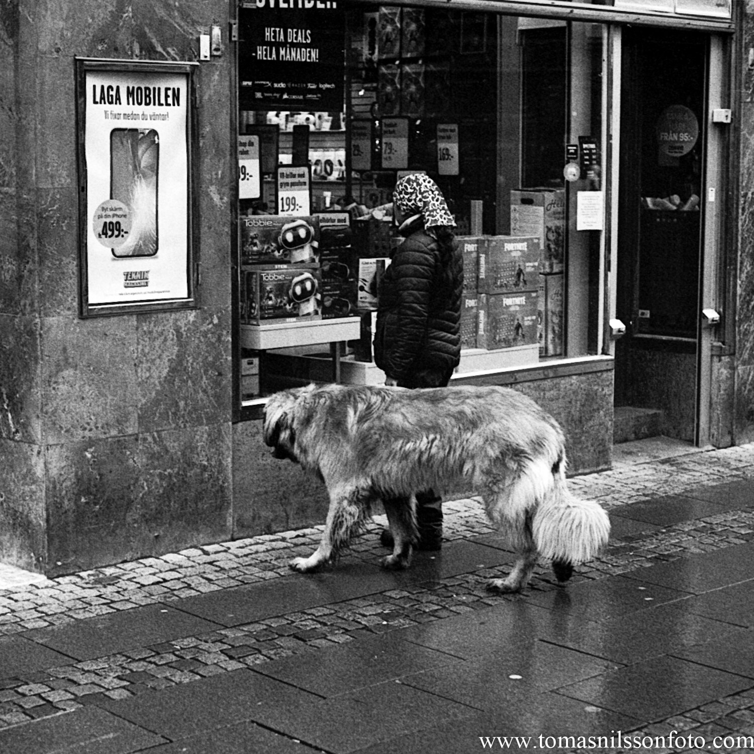 Day 338 - December 4: Taking my Human for a walk