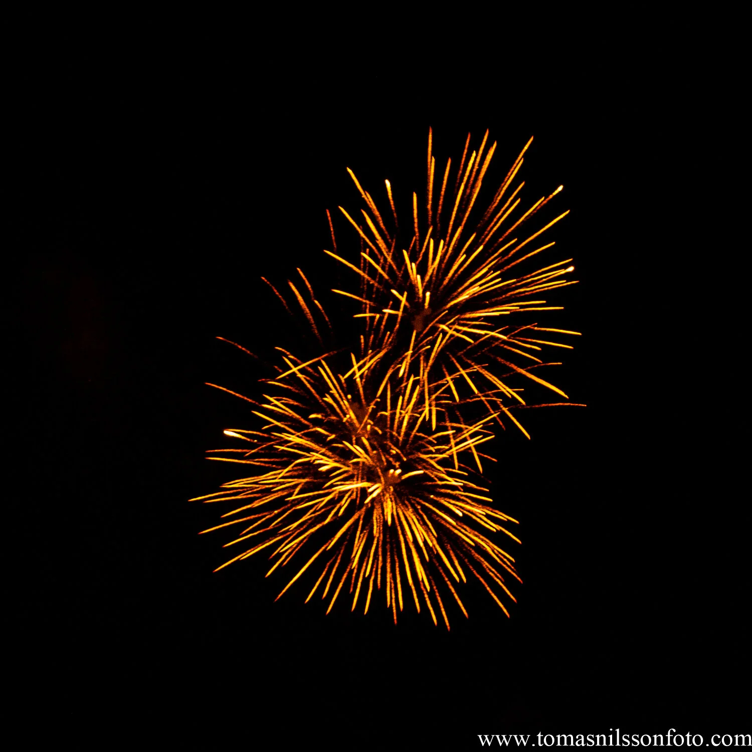 The 365 Project Mark IV - The Twelfth Month Summary