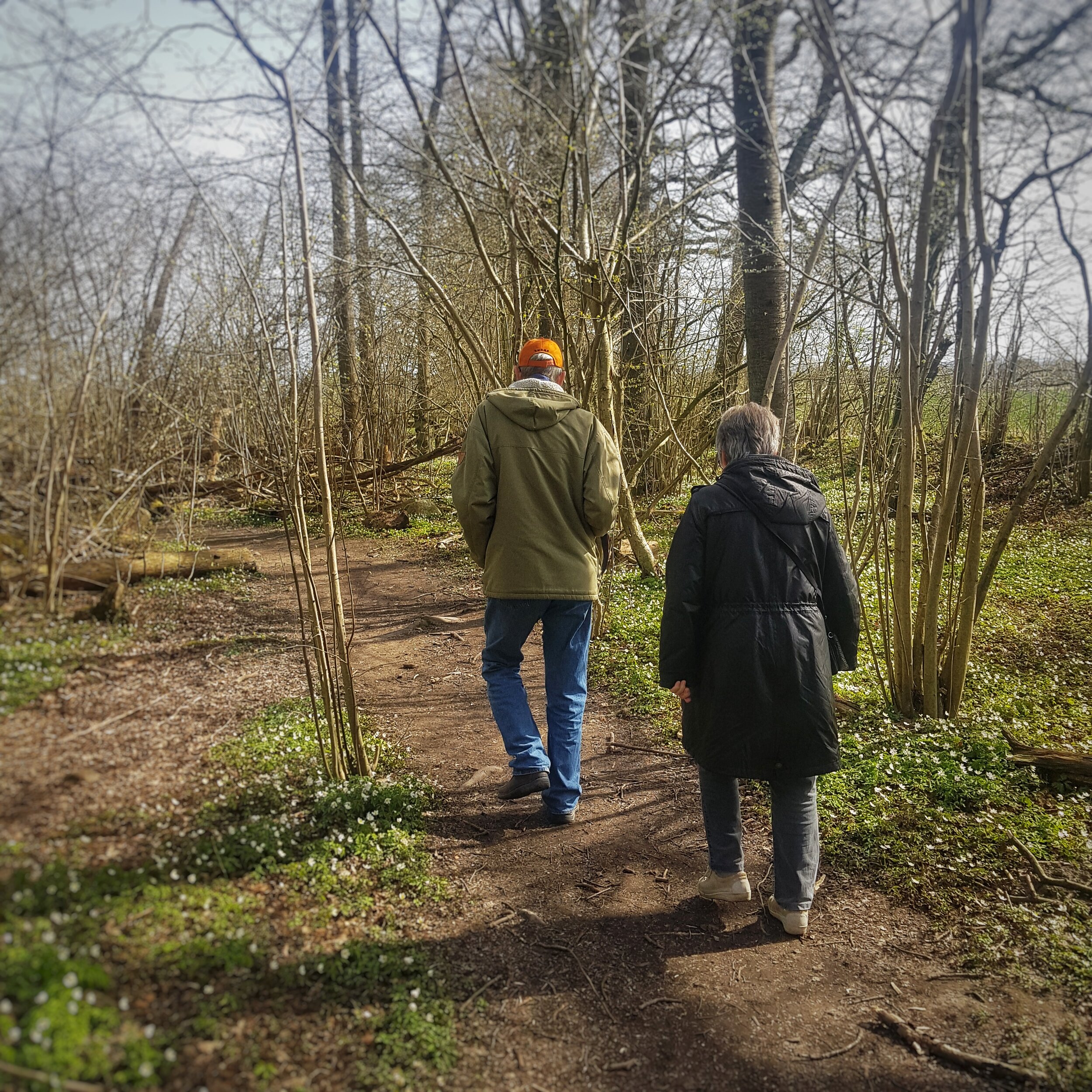 Day 101 - April 10: Social distancing in the woods