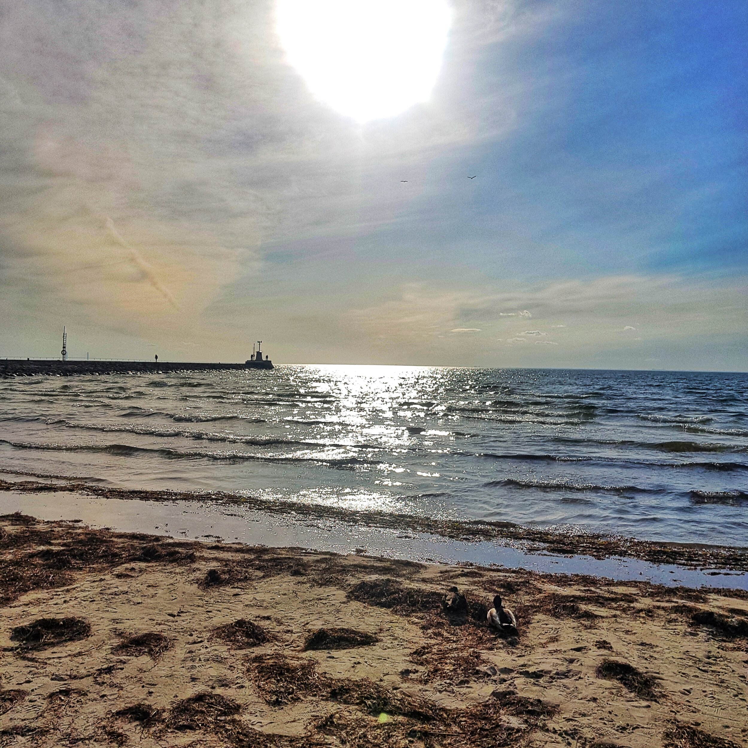 Day 103 - April 12: Taking a breather by the sea