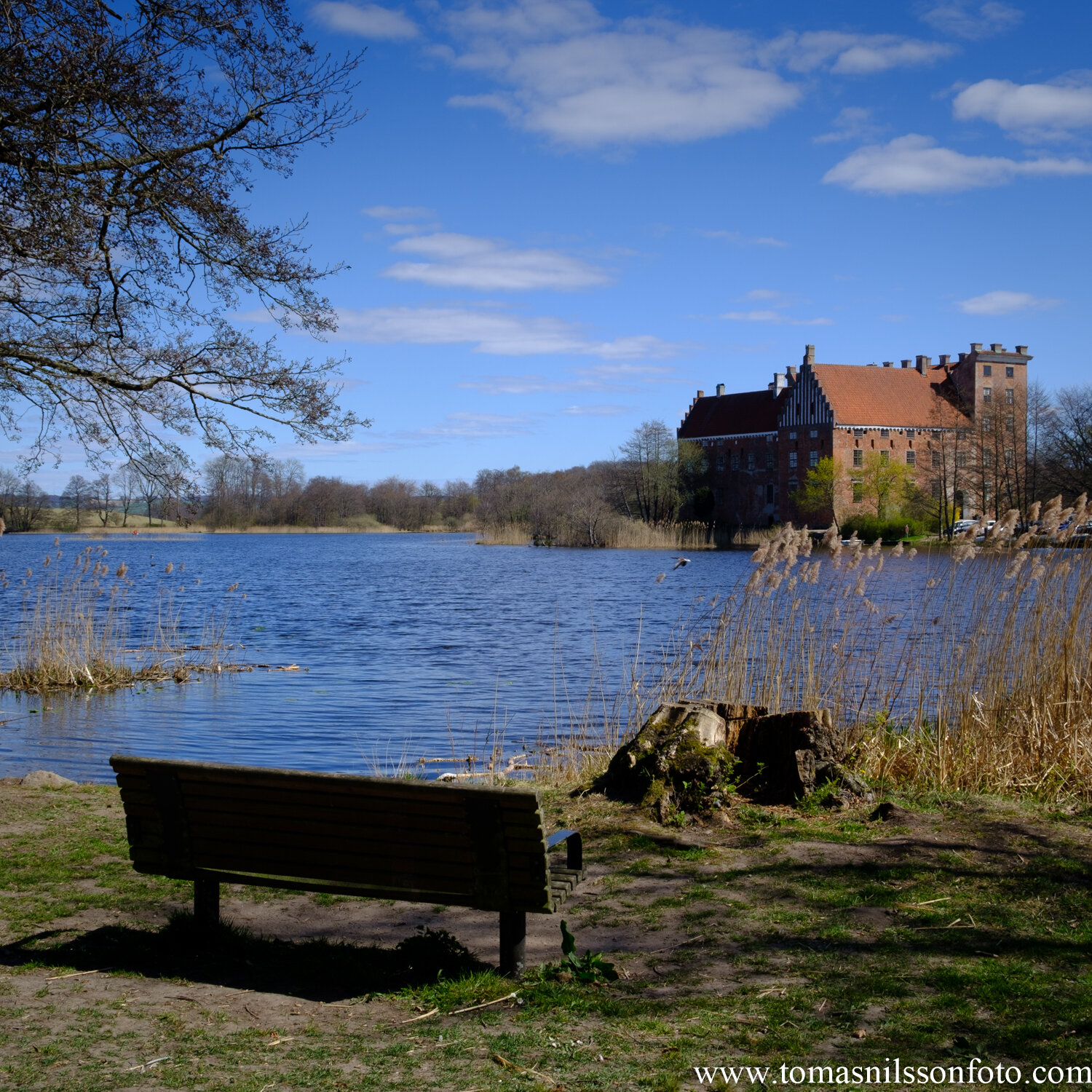 Day 110 - April 19: Wanna sit for a spell?