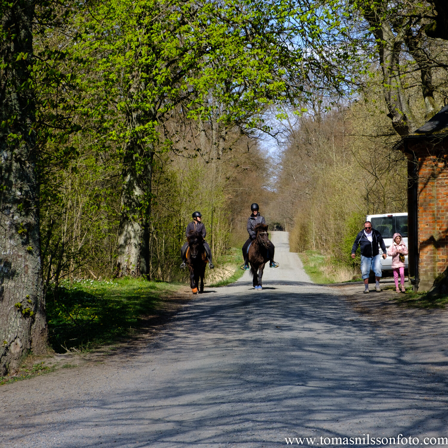 Day 111 - April 20: Spring Ride