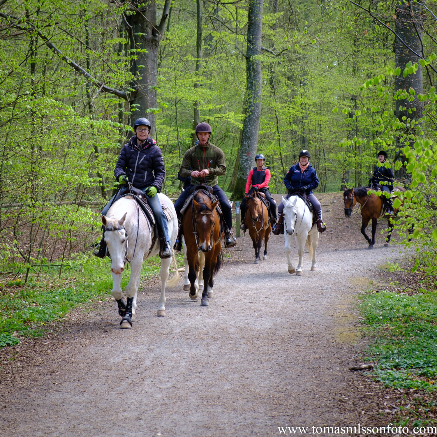 Day 116 - April 25: Sharing the path