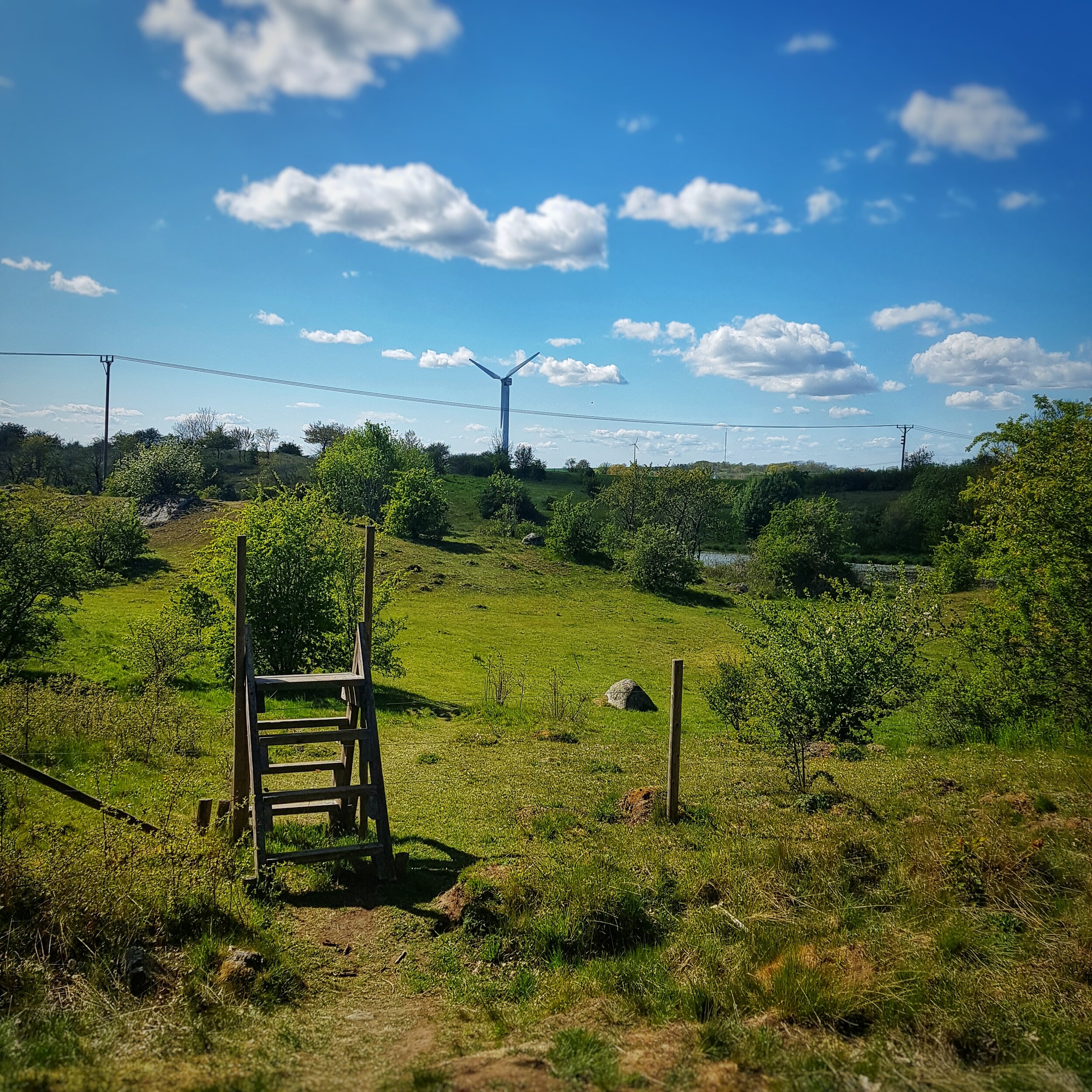 Day 135 - May 14: Big Skies