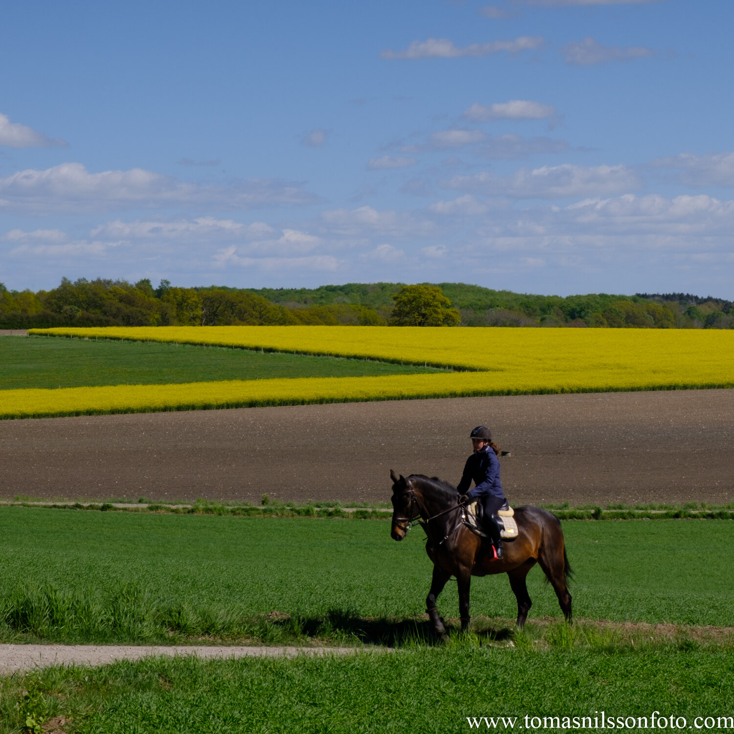 Day 136 - May 15: Rider