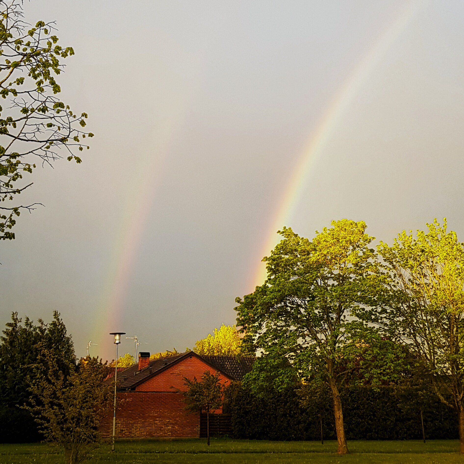 Day 138 - May 17: Rainbow Connection