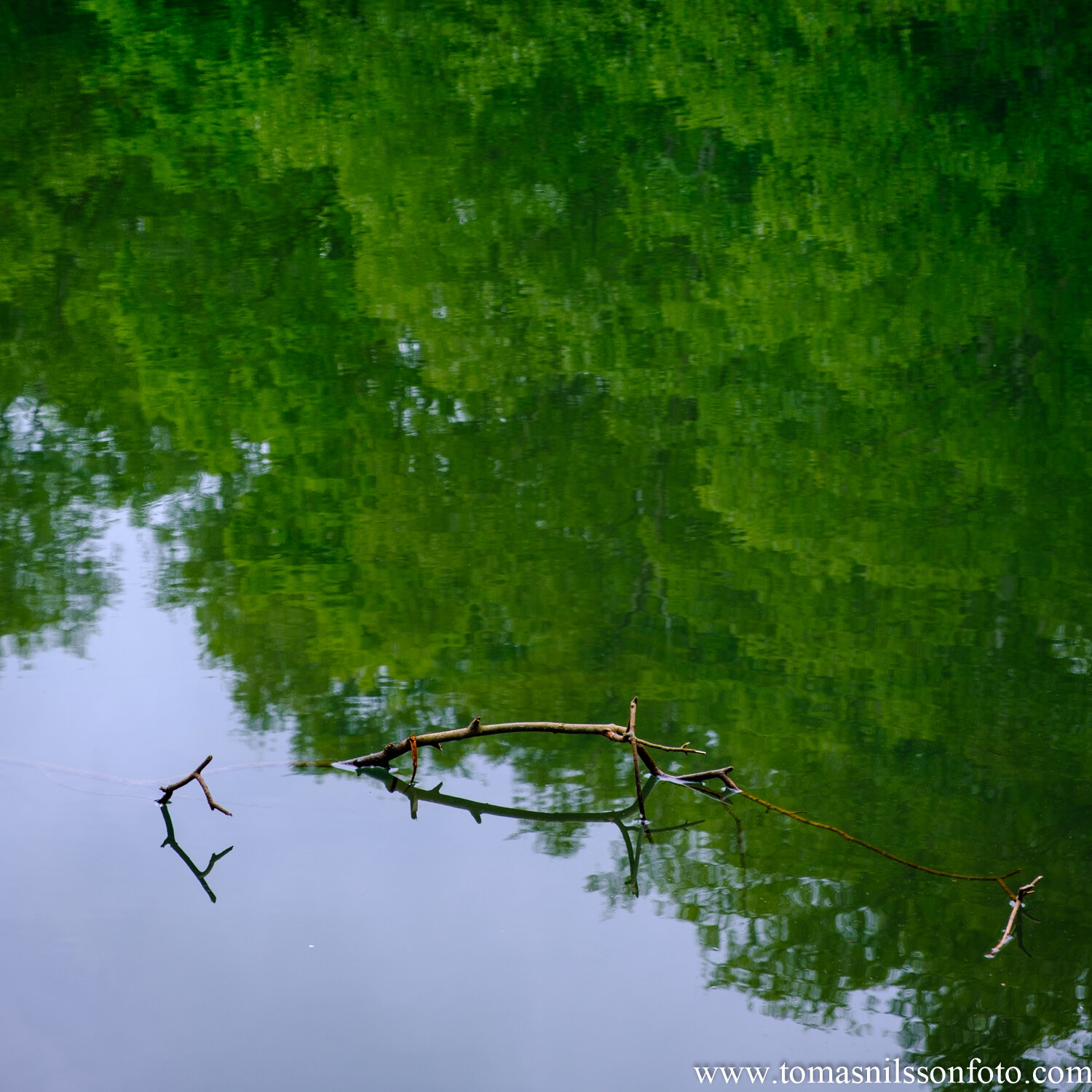 Day 145 - May 24: At The Pond