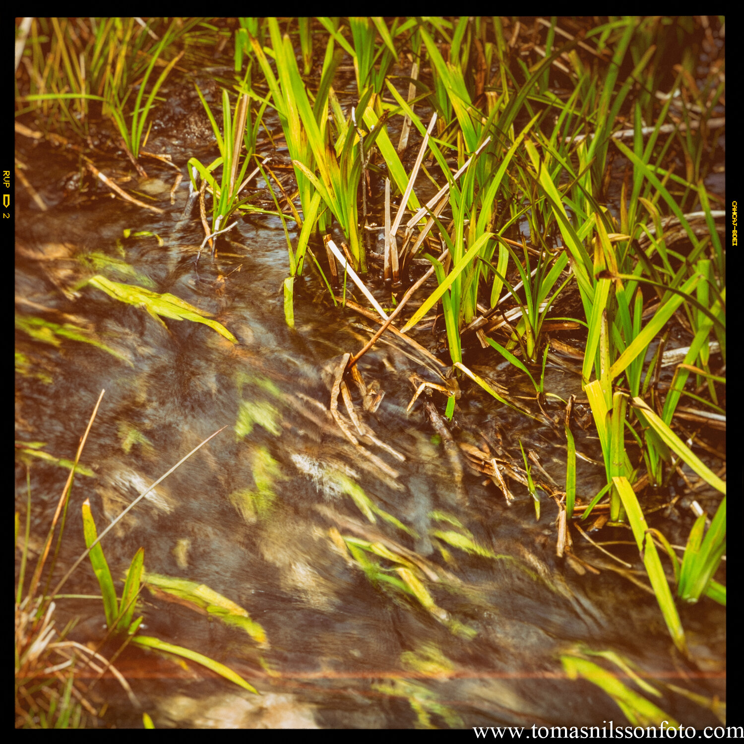 Day 151 - May 30: Water, Water Everywhere...