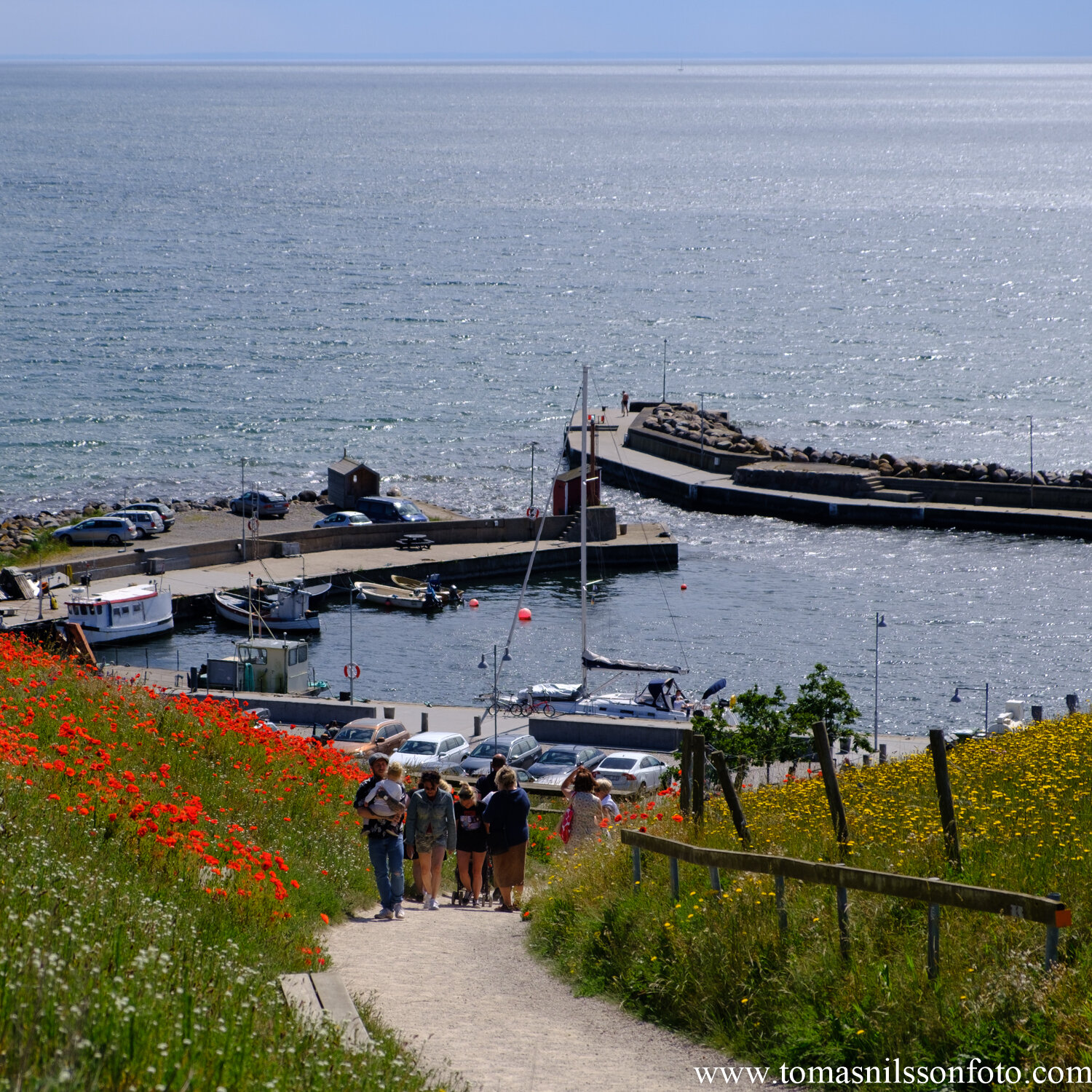 Day 183 - July 1: Over the harbor