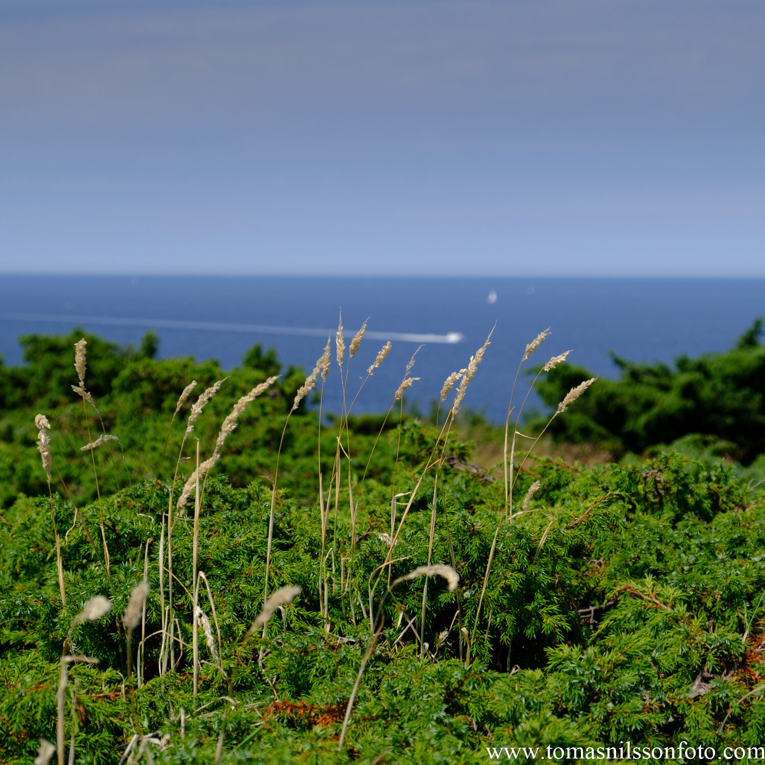 Day 202 - July 20: At the sea