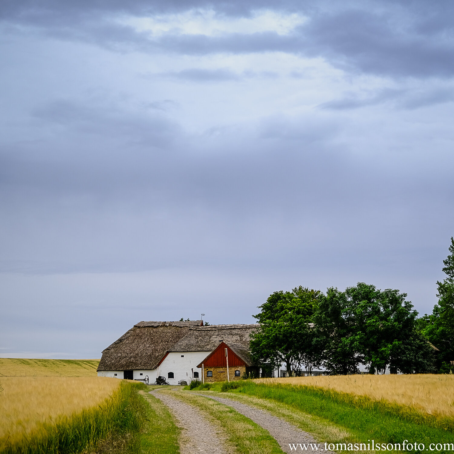 Day 211 - July 29: The Old Farm