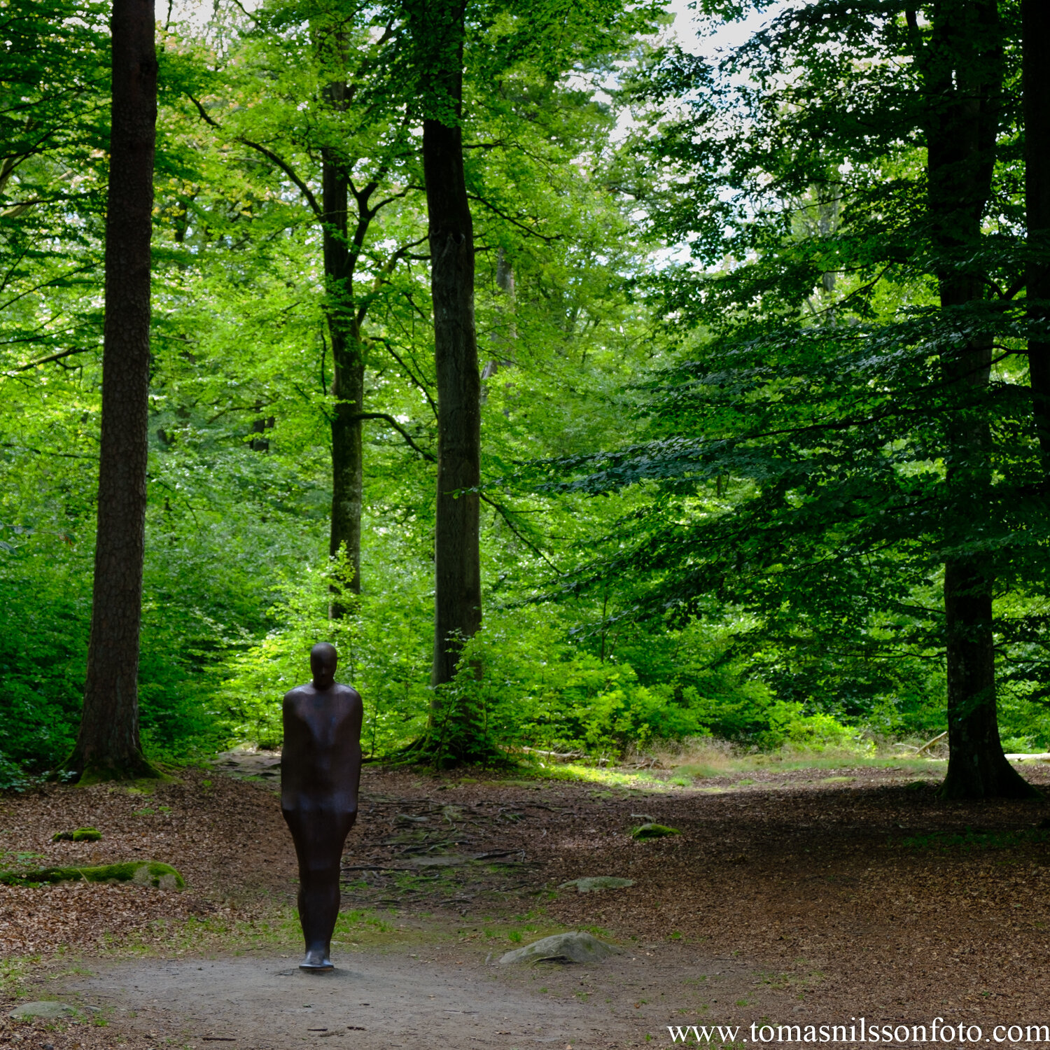 Day 217 - August 4: Man in the woods