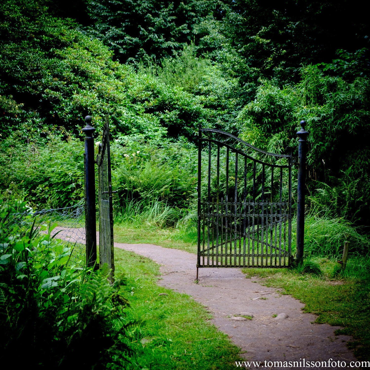 Day 220 - August  7: Gateway to somewhere