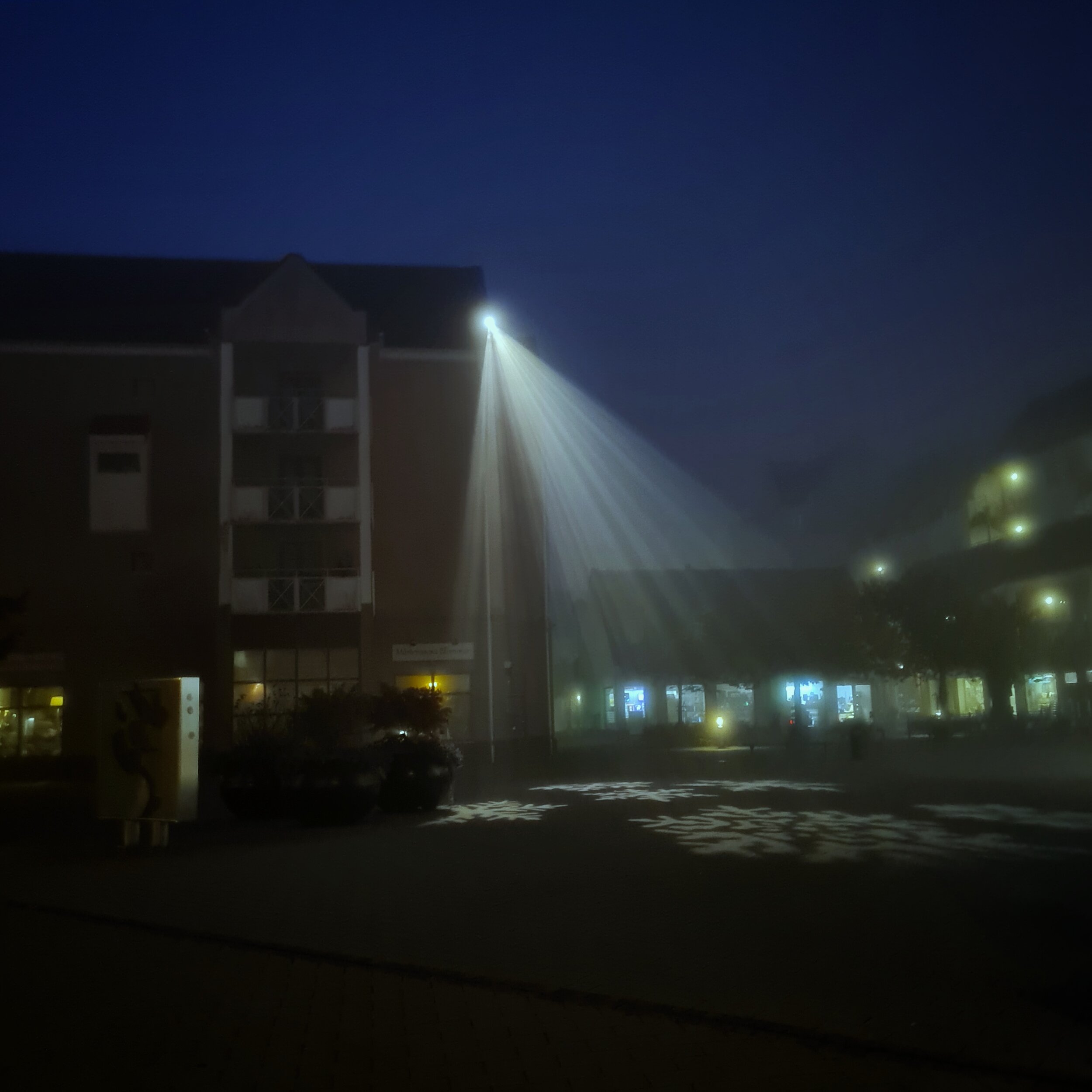 Day 267 - September 23: Light in the mist