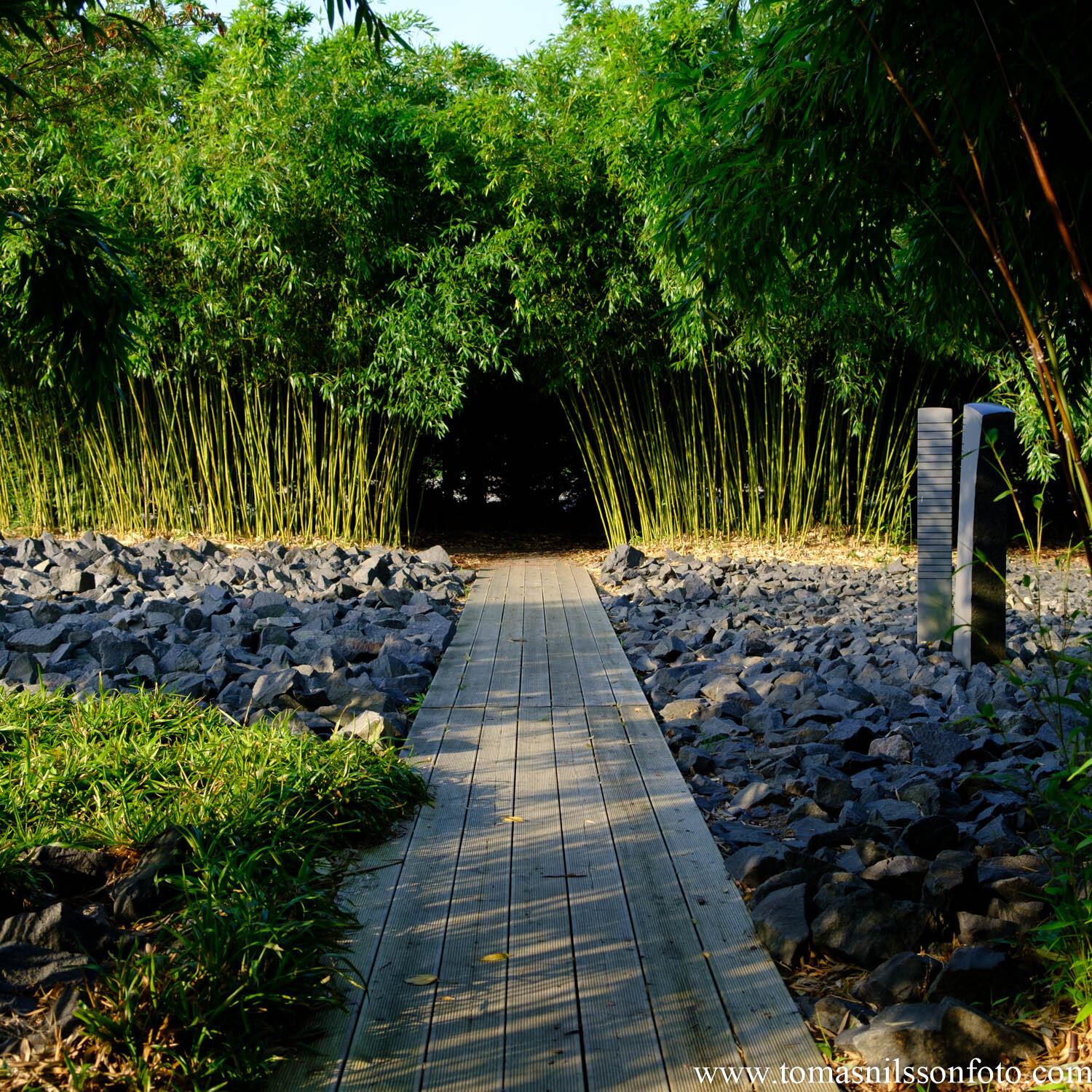 Day 275 - October 1: Zen Garden