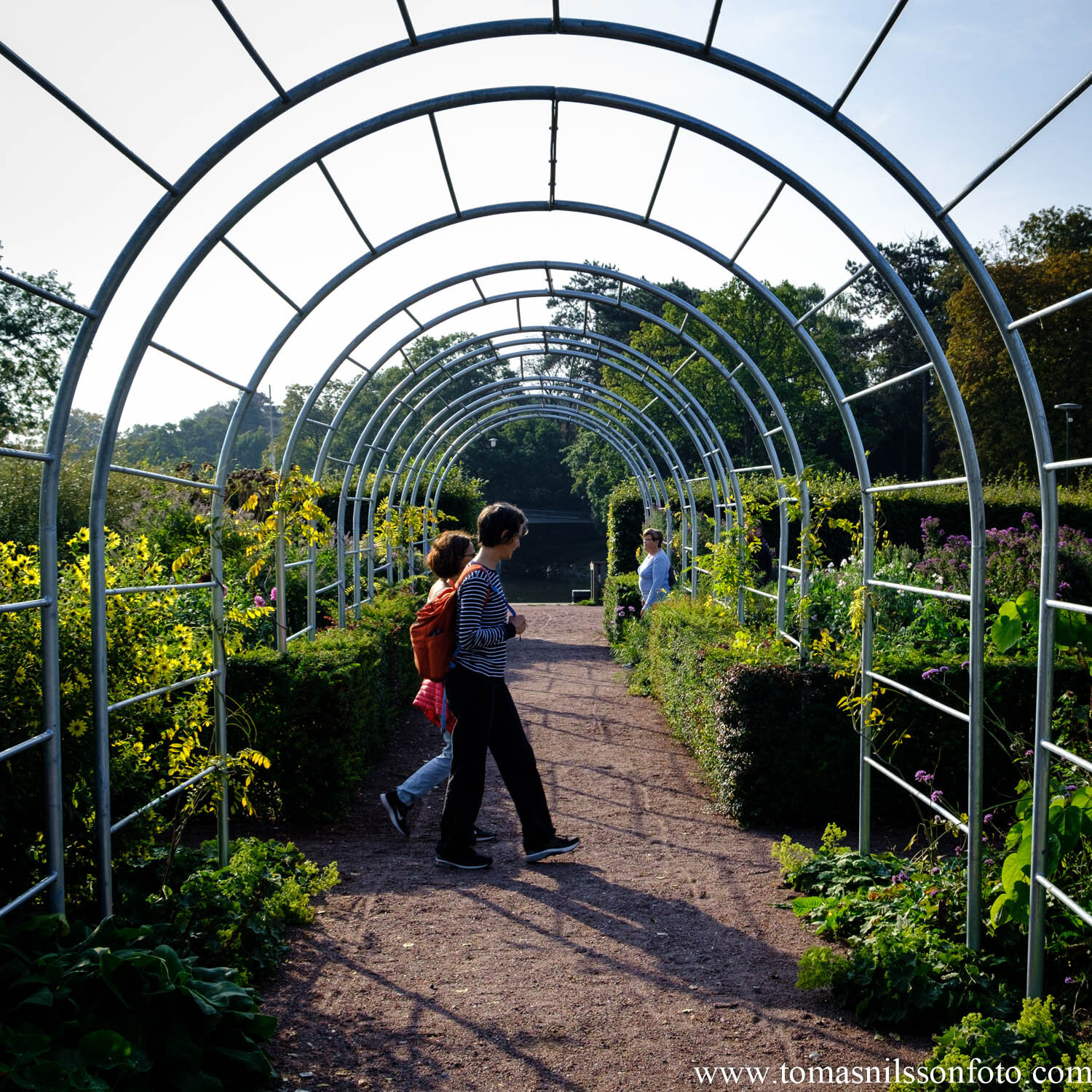 Day 277 - October 3: Garden Arches