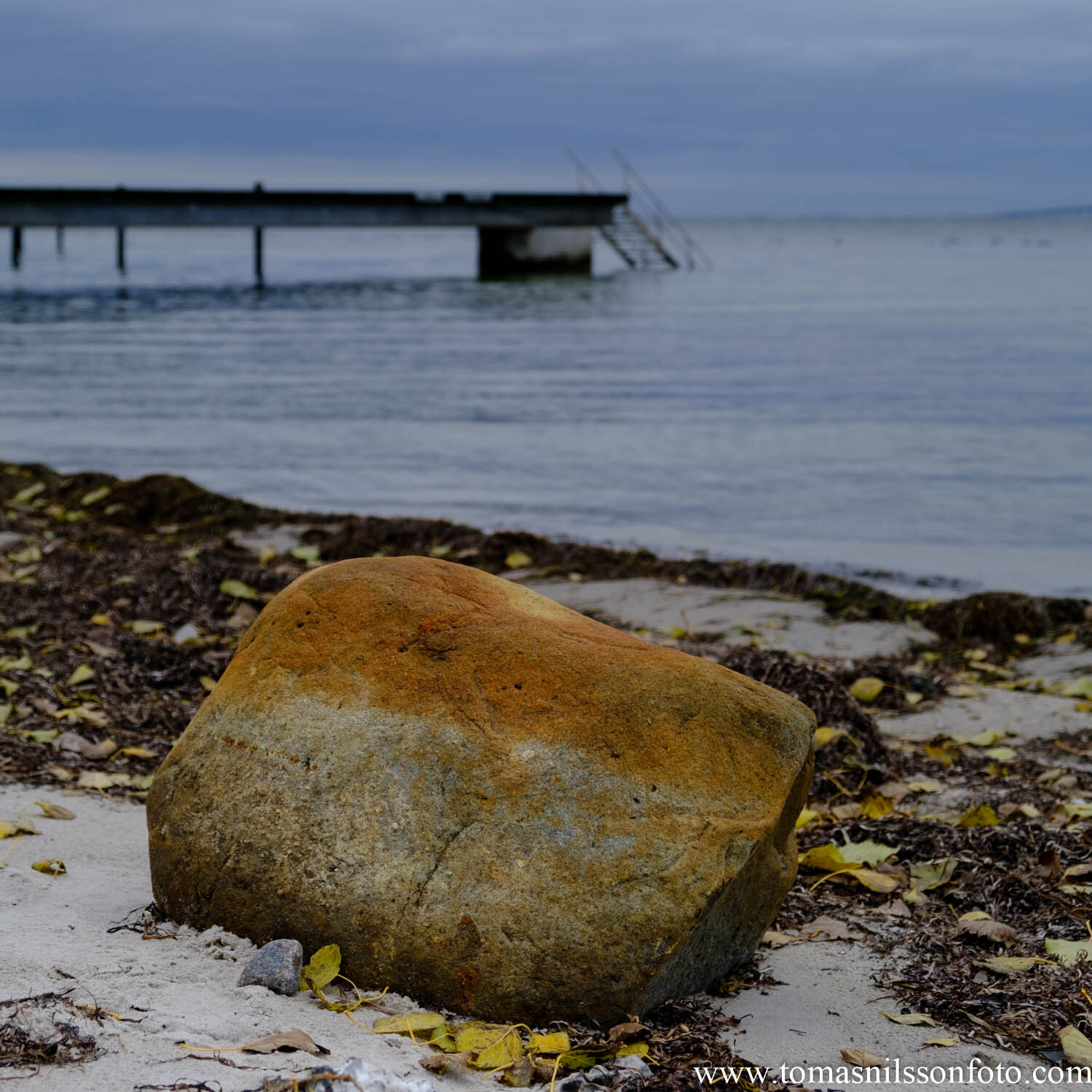 Day 299 - October 26: At The Beach