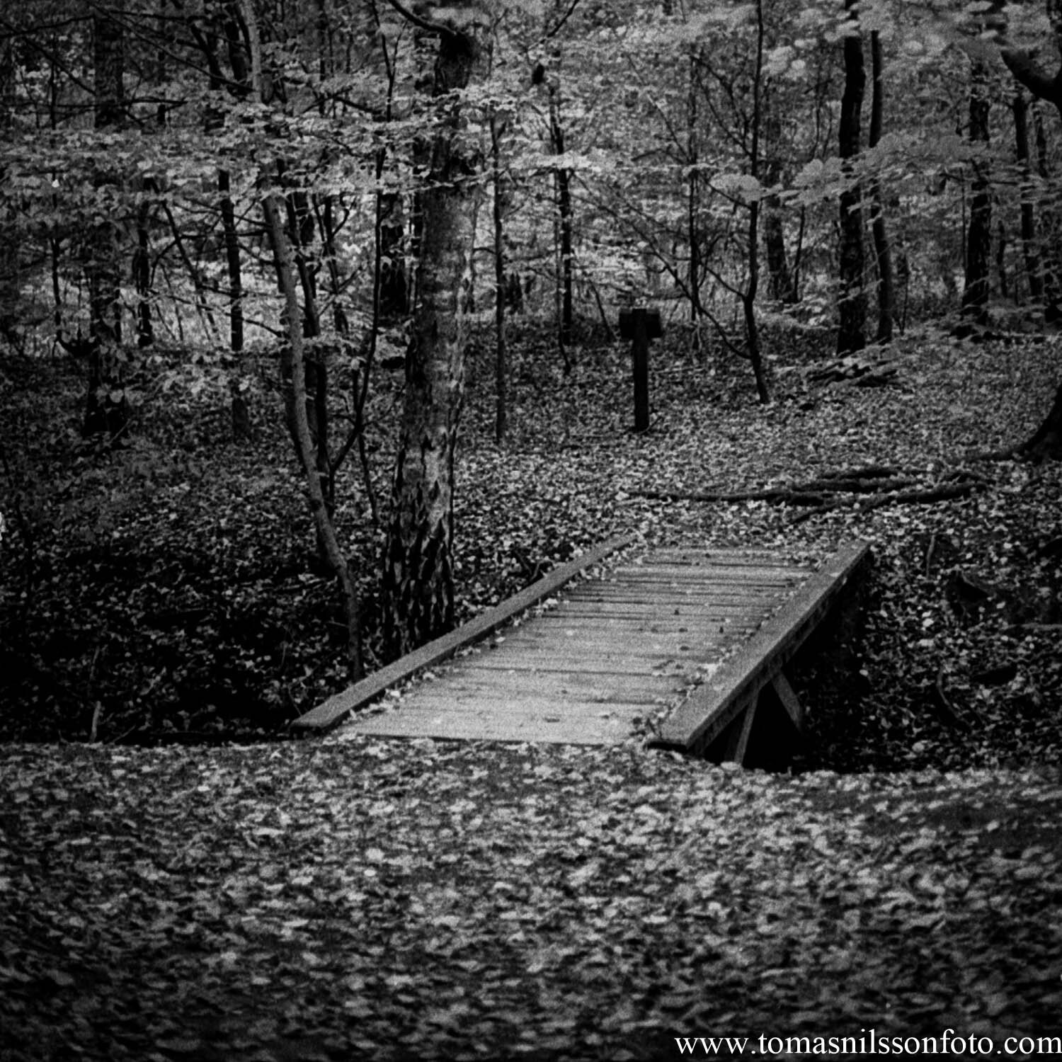 Day 306 - November 1: Bridge to somewhere