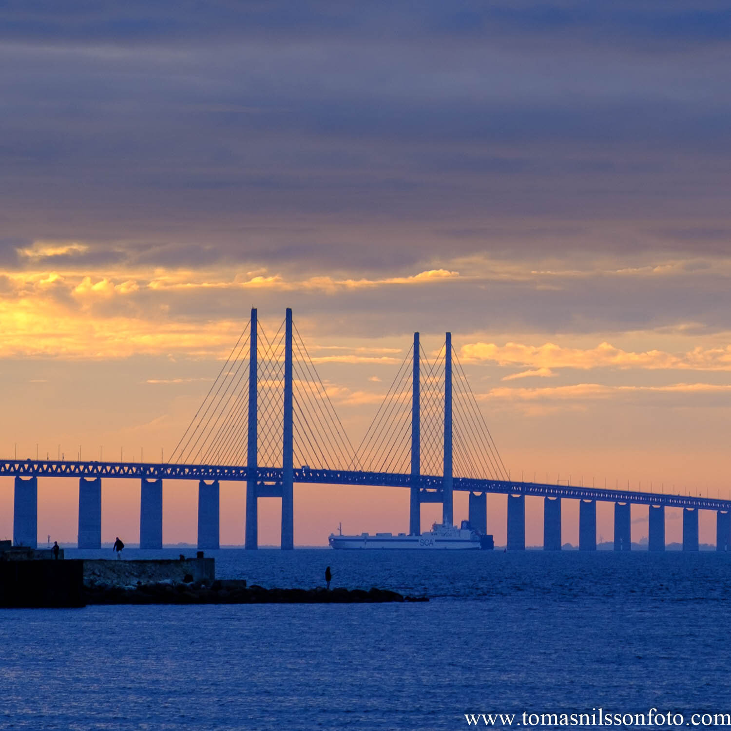 Day 321 - November 16: Under the bridge