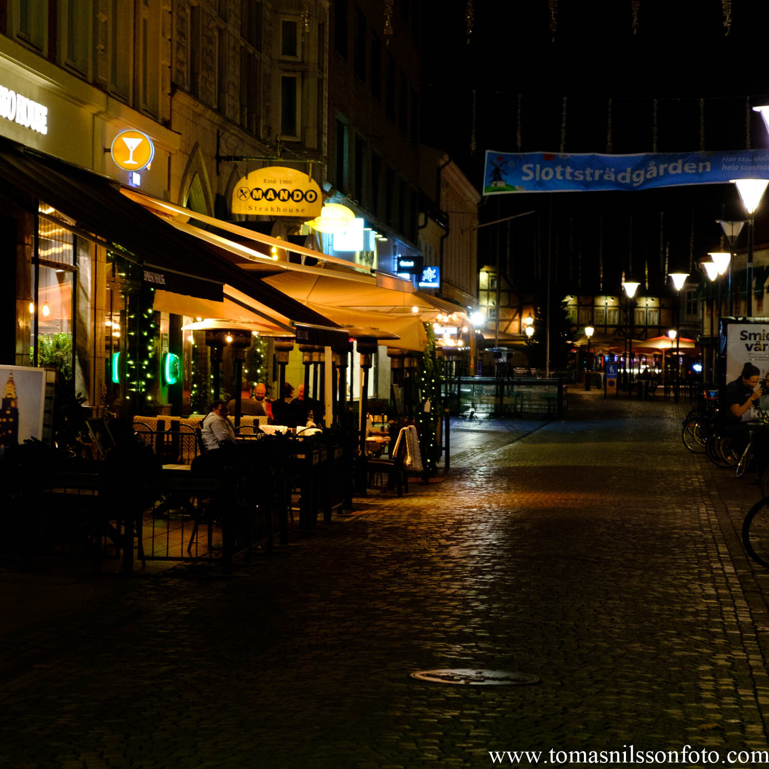 Day 333 - November 28: Night Scene