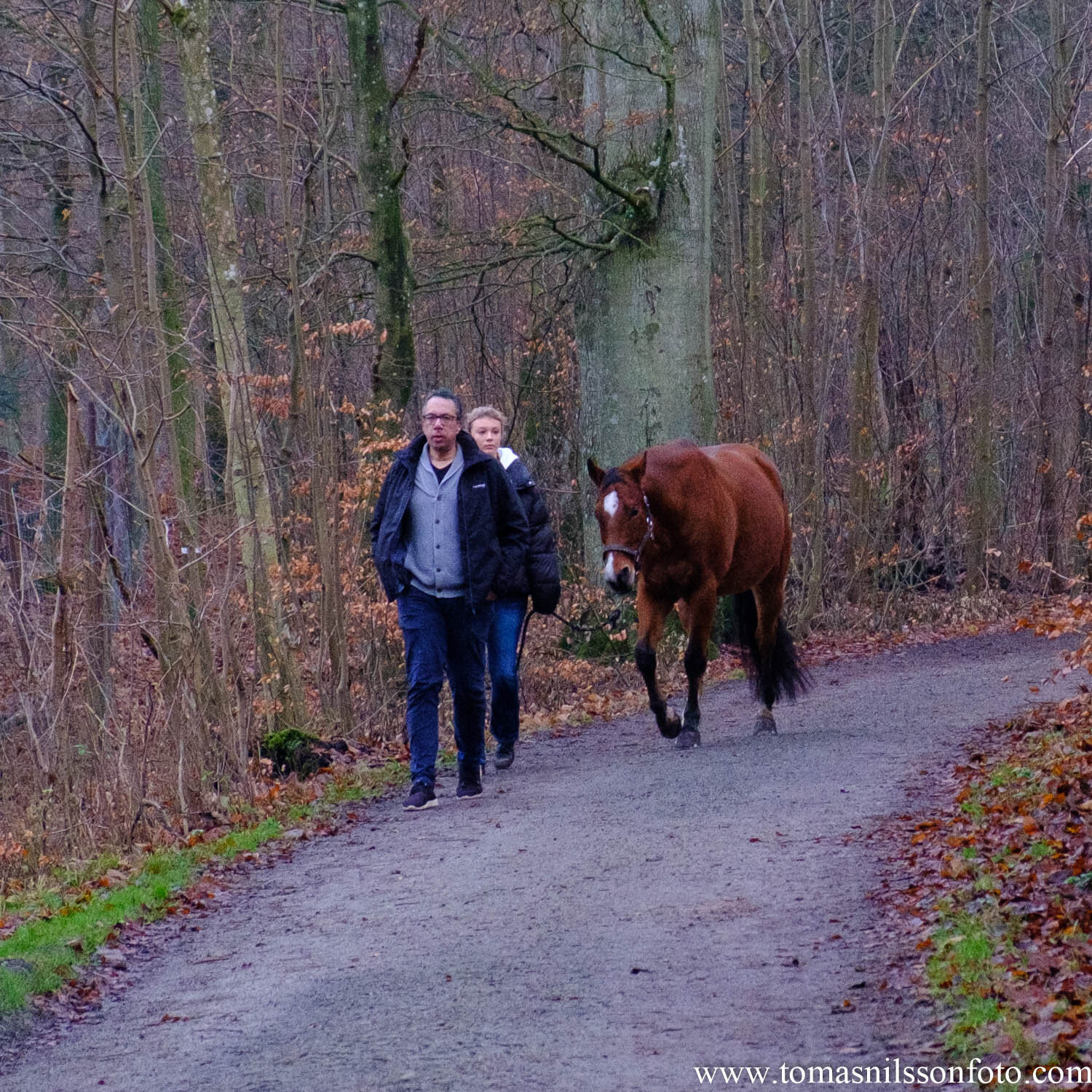 Day 354 - December 19: Taking your pet for a walk