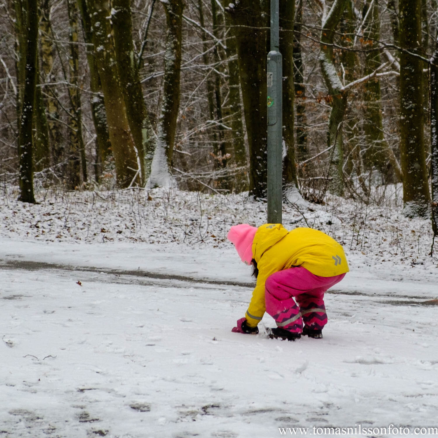 Day 7 - January 7: Enough for one snow ball