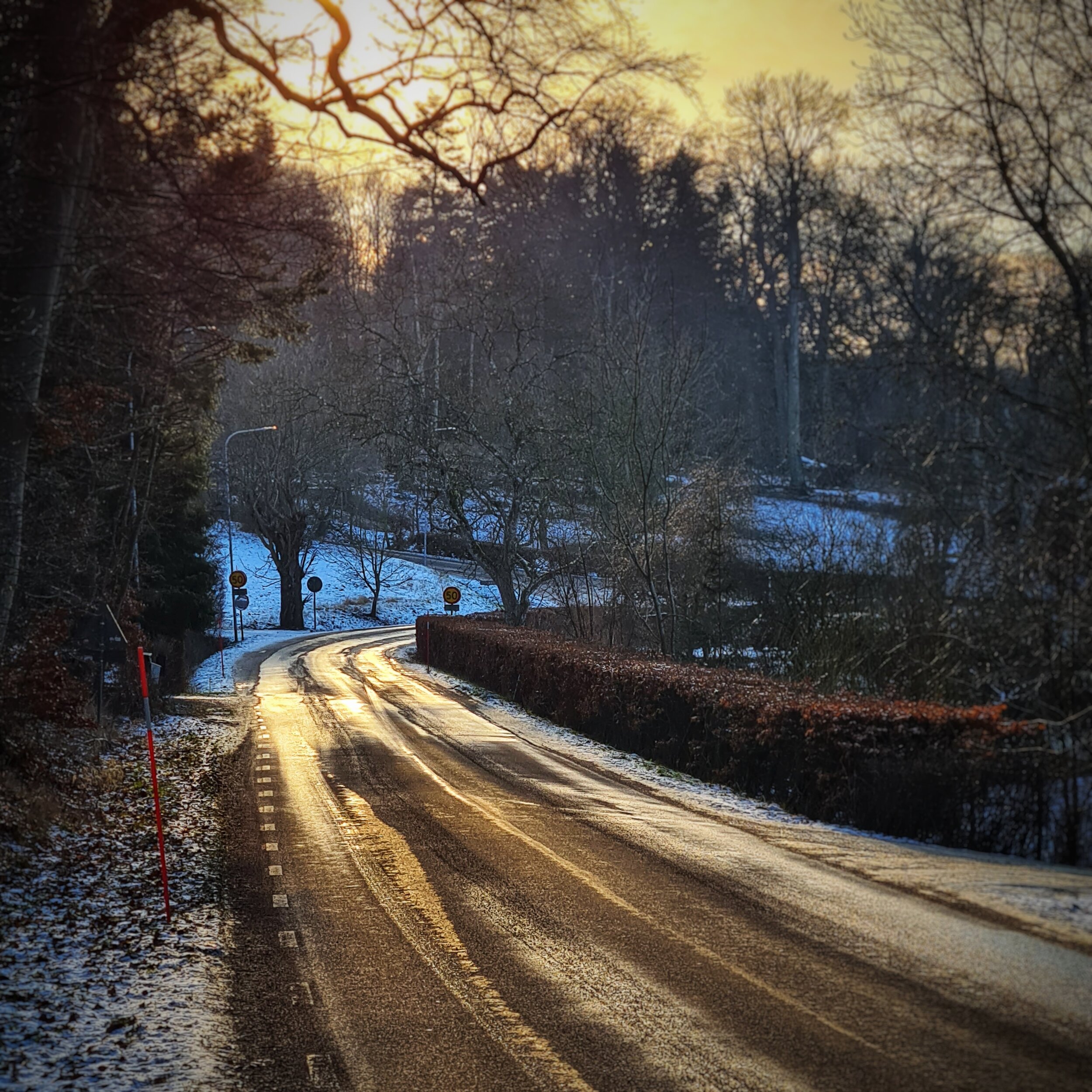 Day 33 - February 2: Golden Road