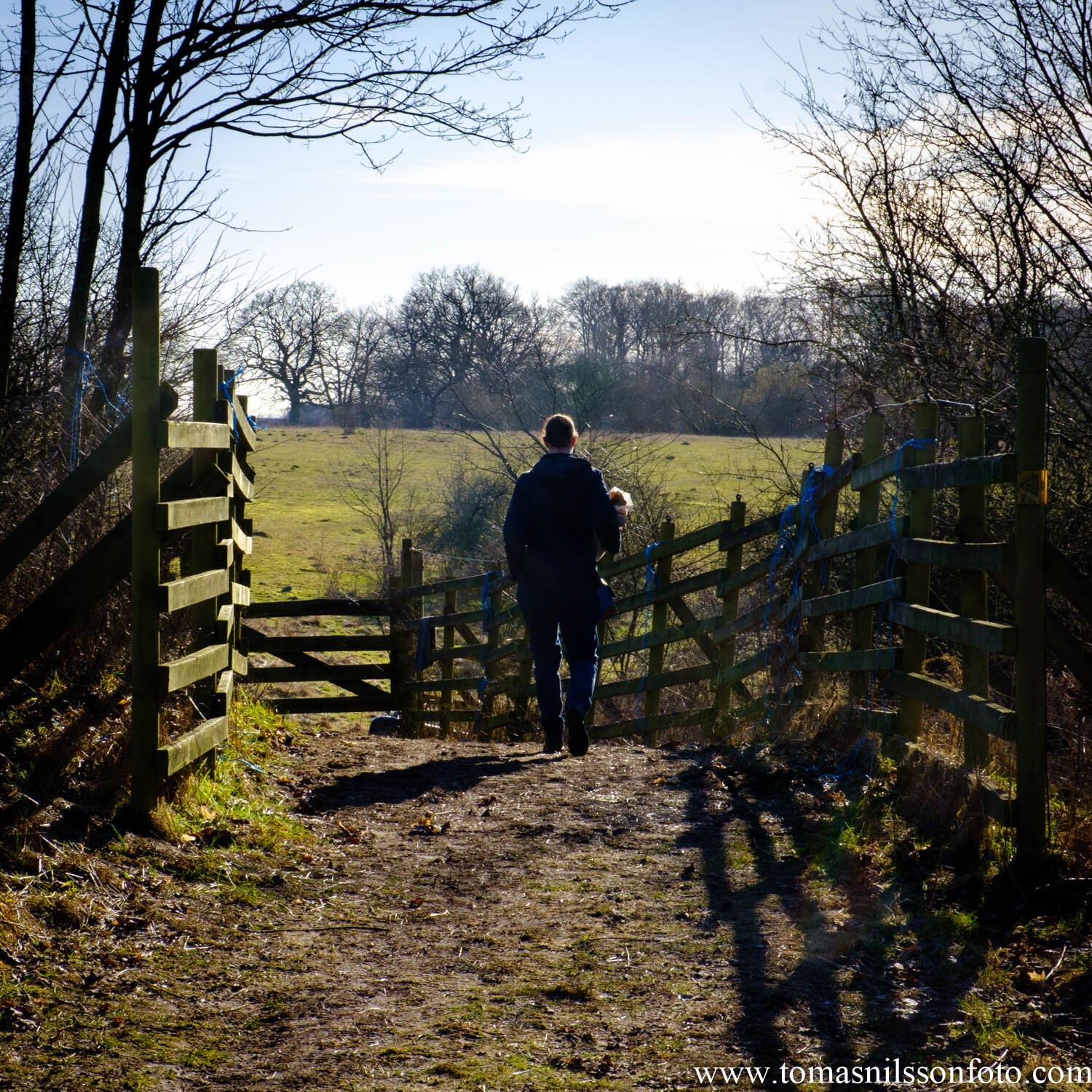 Day 60 - March 1: Out for a stroll