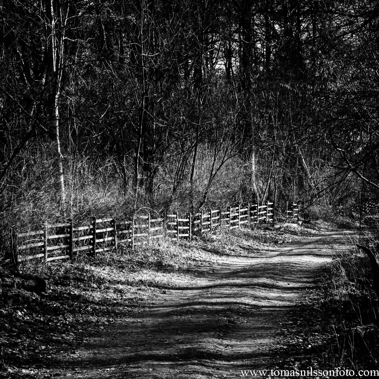 Day 61 - March 2: Take me home, country roads