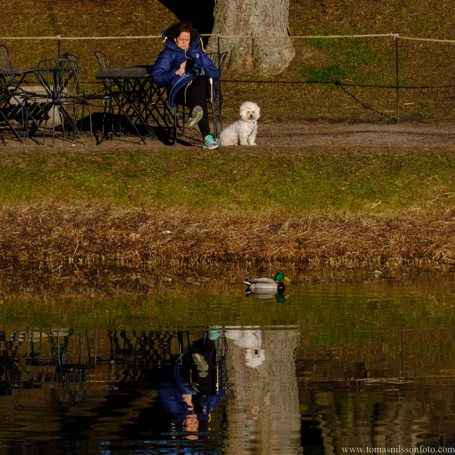 Day 67 - March 8: Park Life