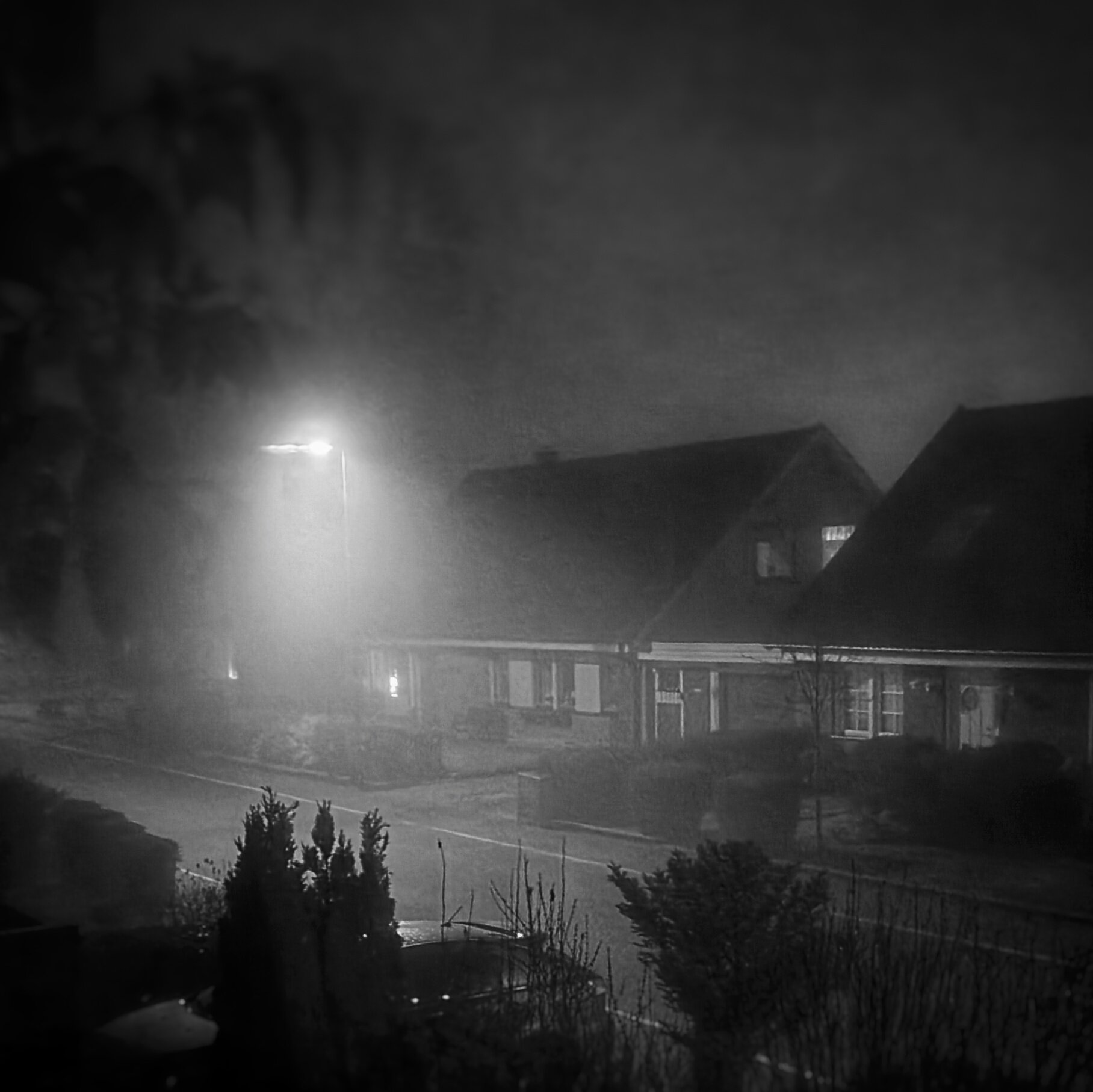Day 71 - March 12: Night in Foggy Town