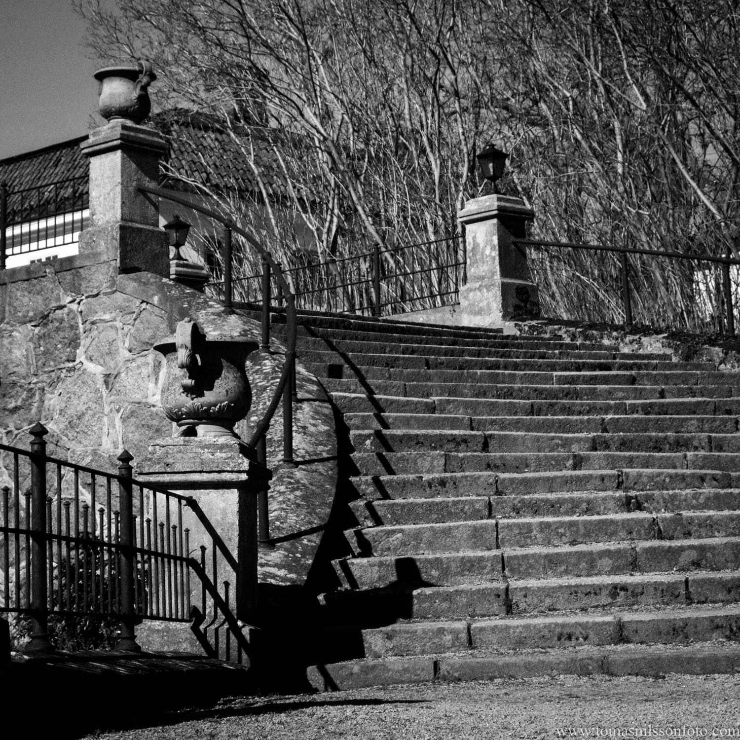 Day 84 - March 25: Steps