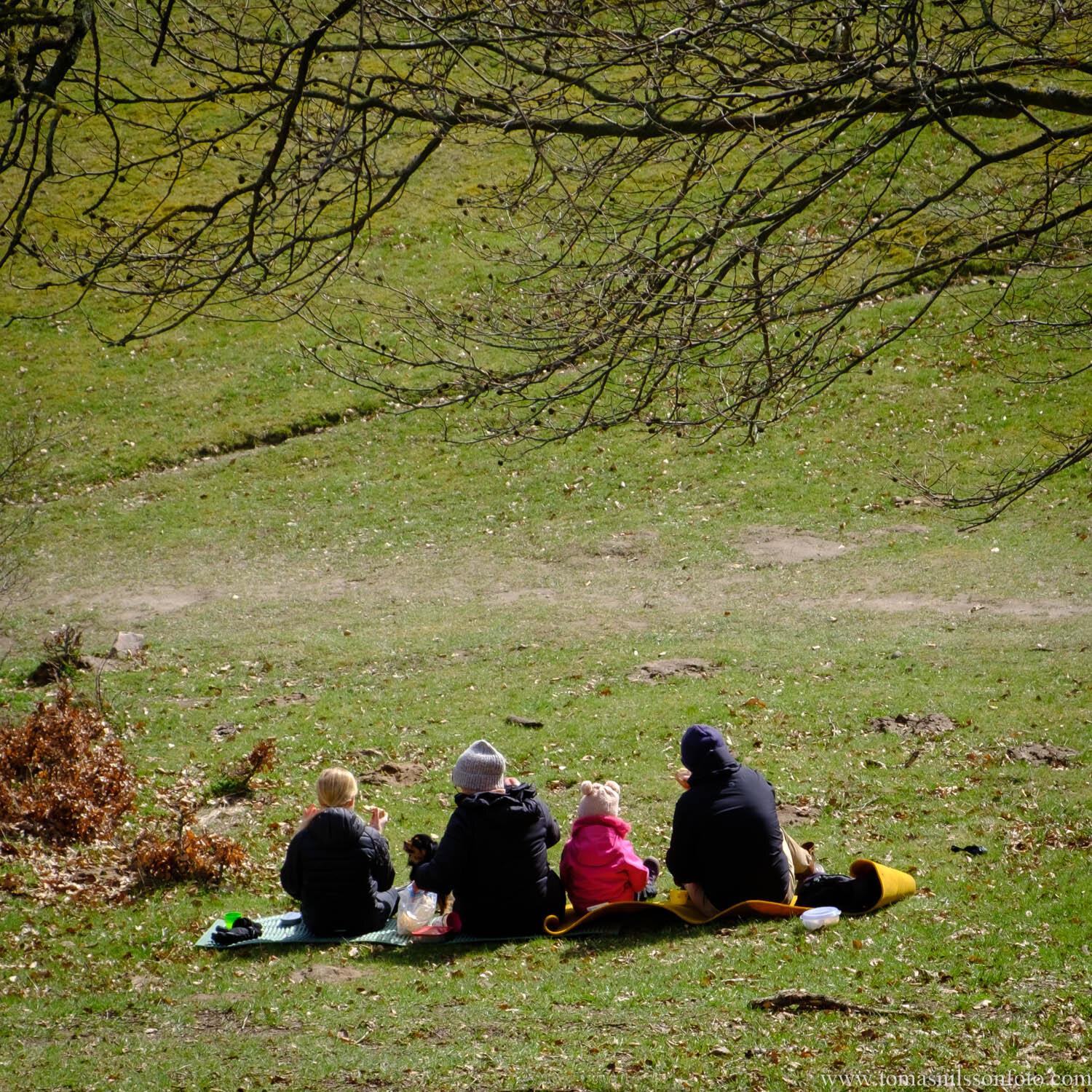 Day 96 - April 6: Picnic before the snow came back