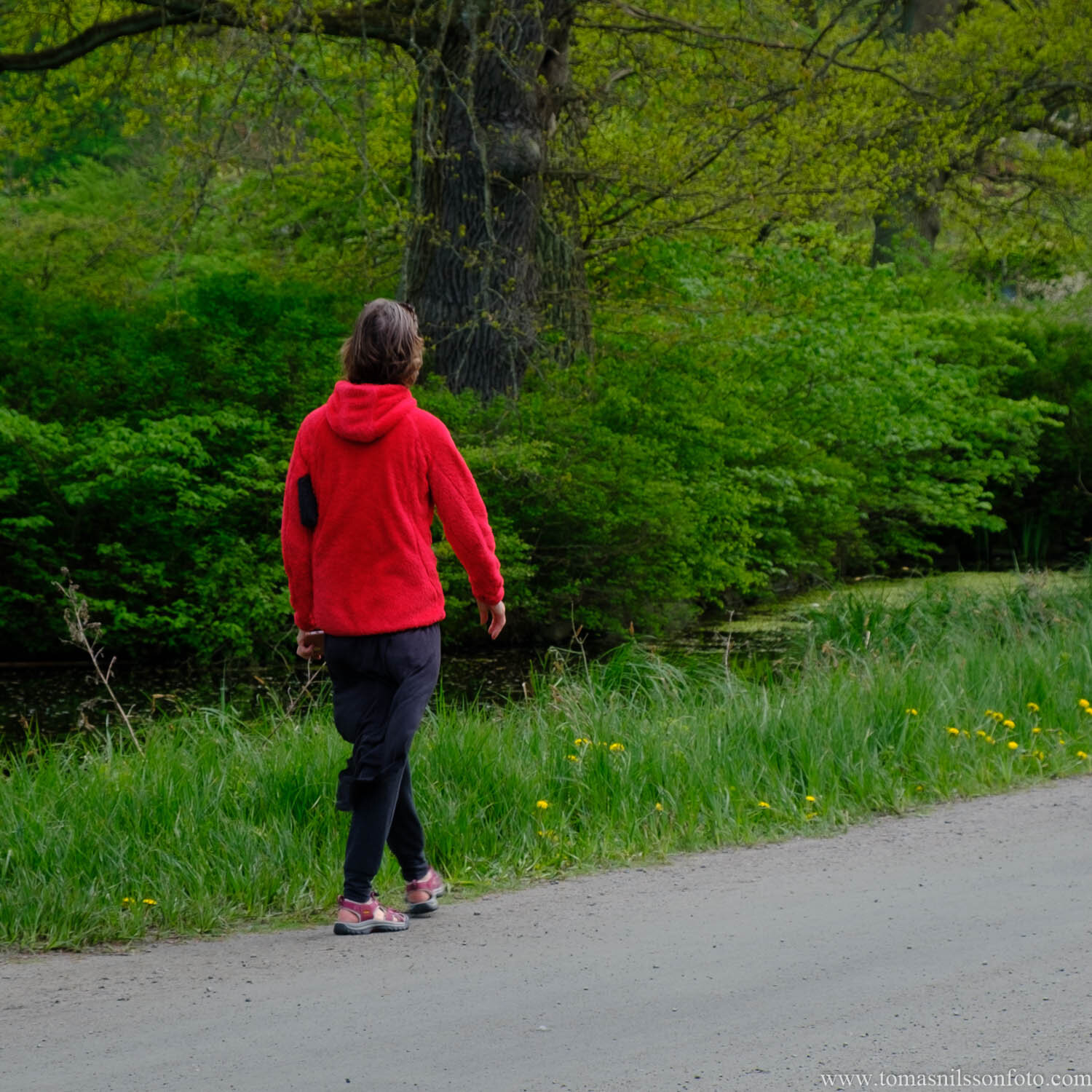 Day 142 - May 22: The Lady in Red