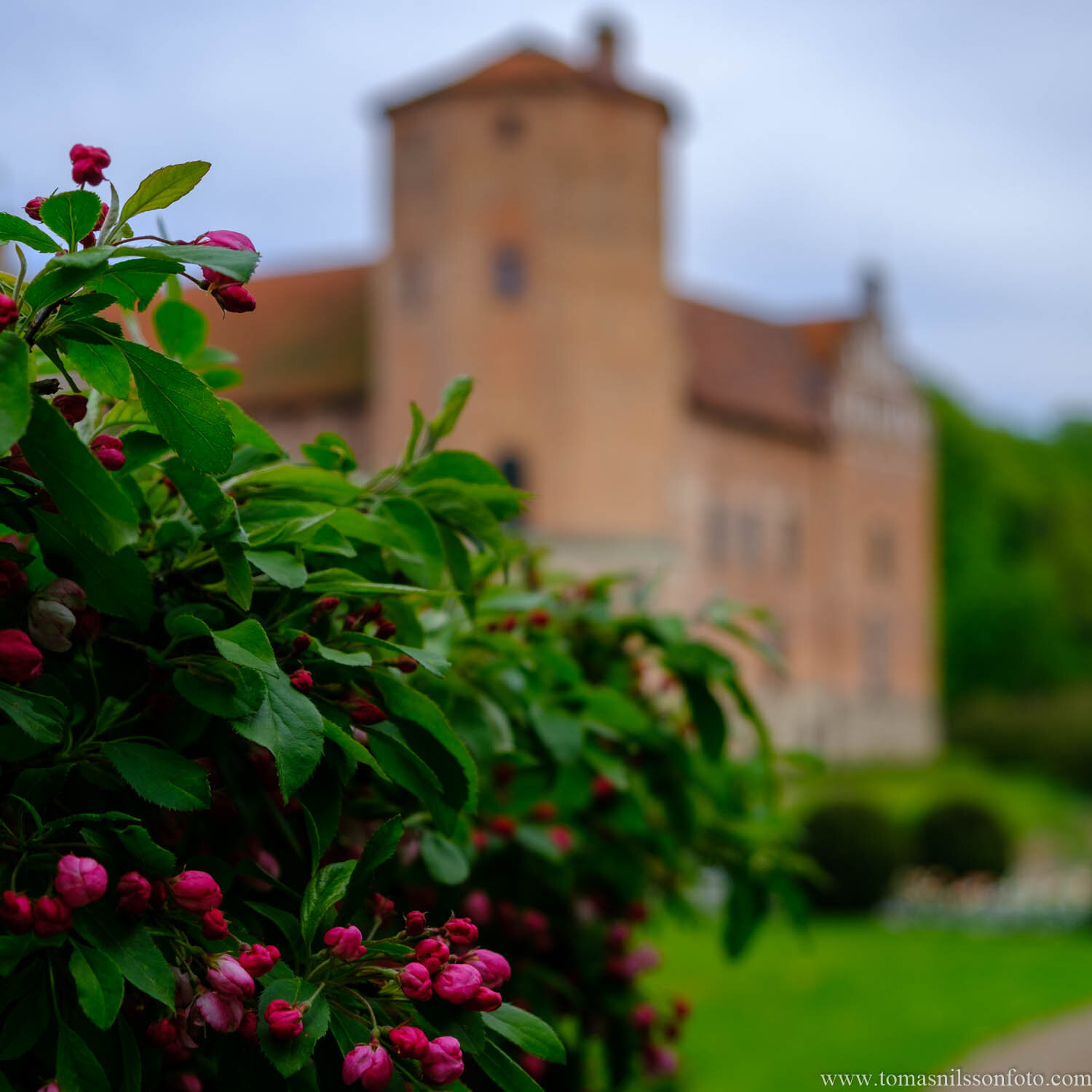 Day 144 - May 24: At the Mansion