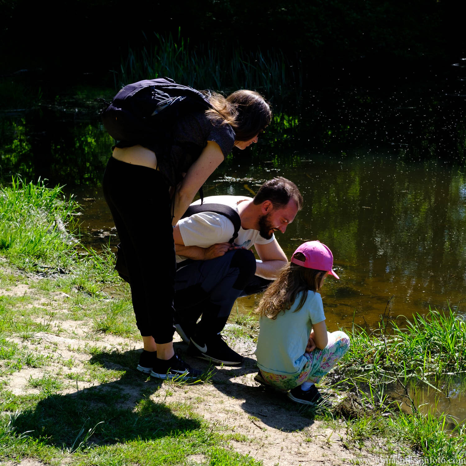 Day 153 - June 2: Finding Tadpoles