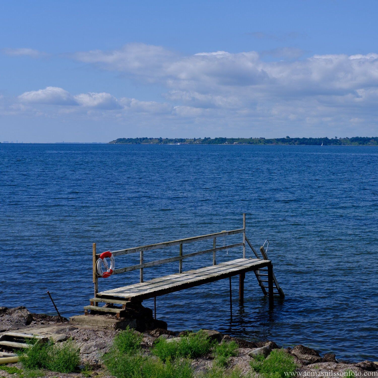 Day 194 - July 13: Ready for swimmers