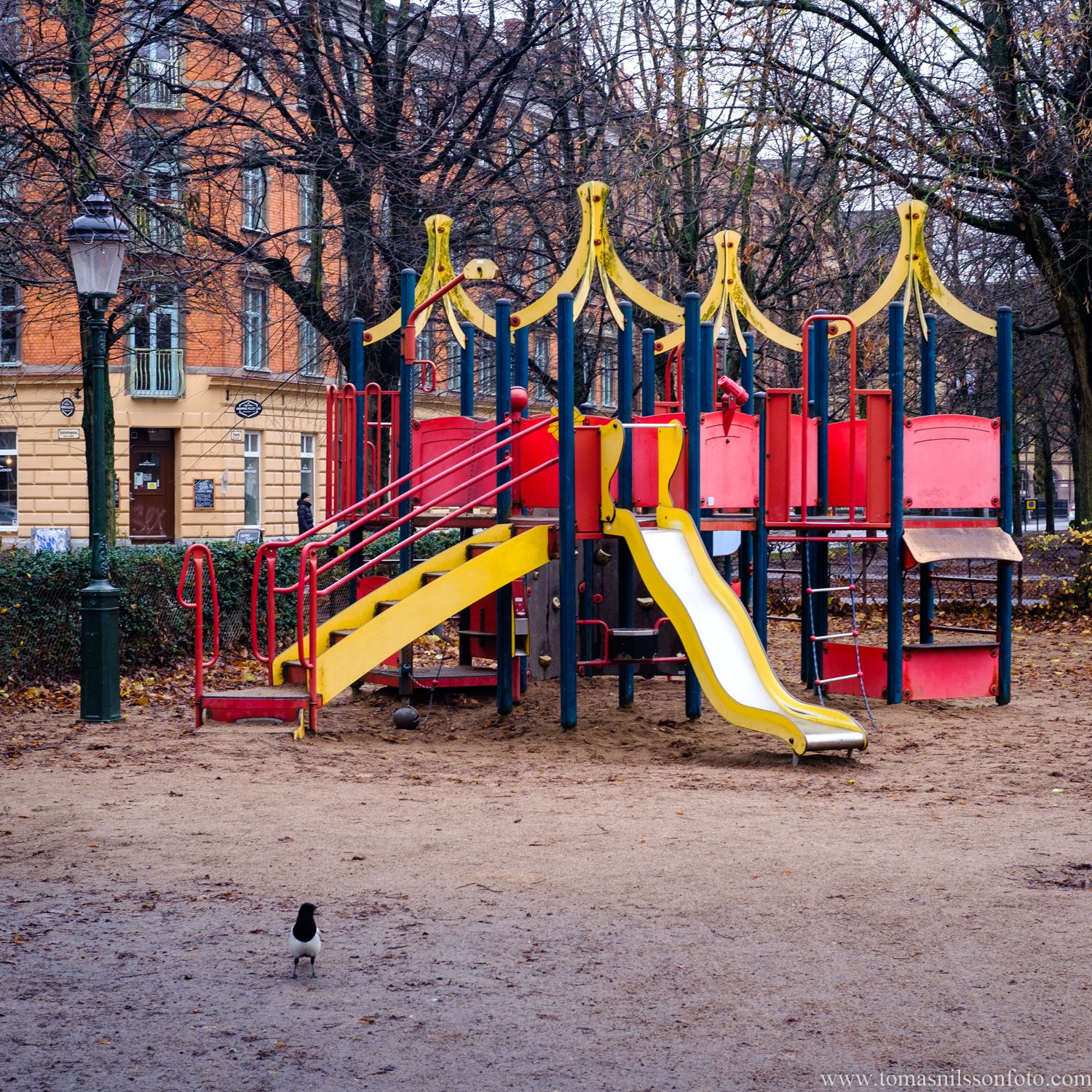Day 336 - December 2: Playground for the birds
