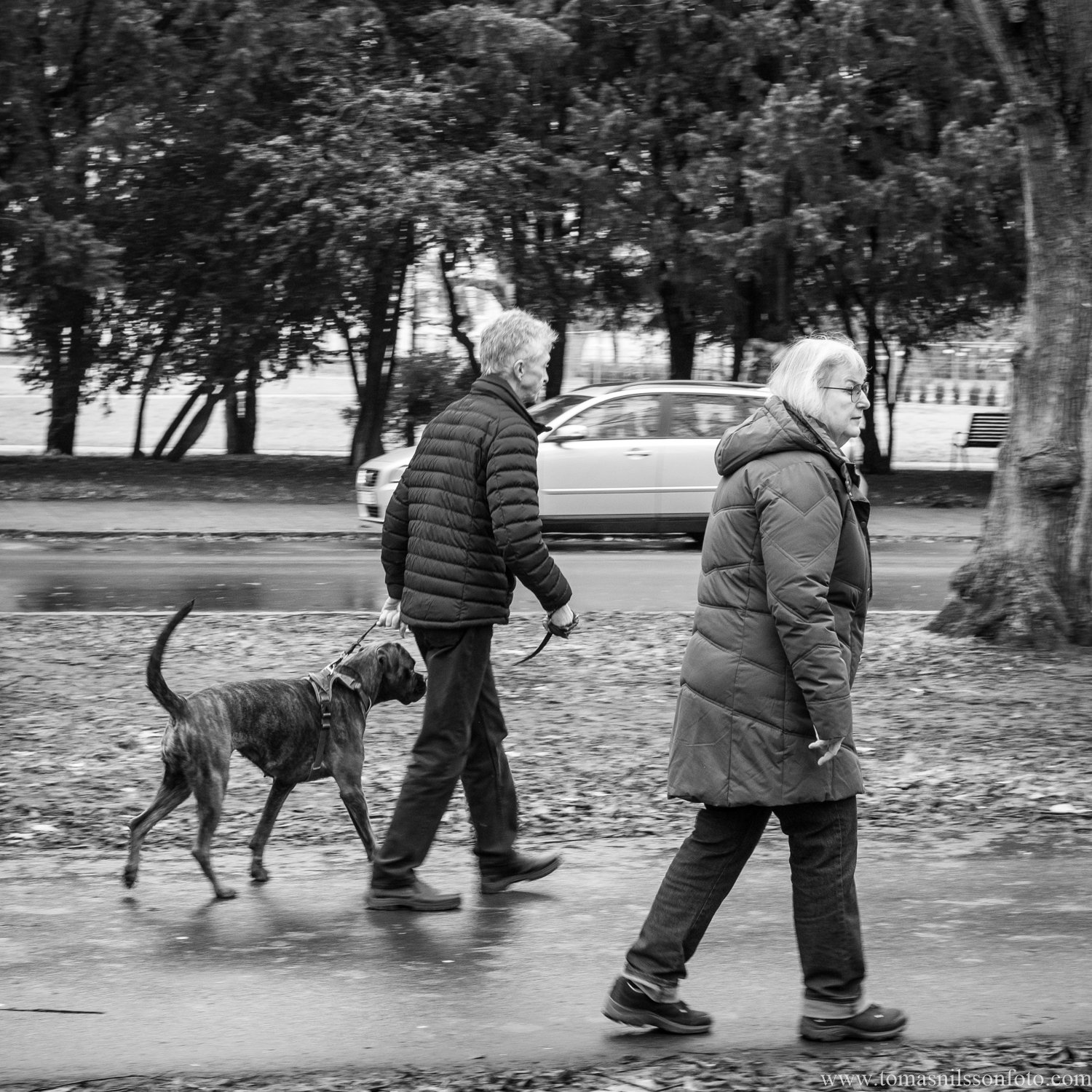 Day 346 - December 12: I keep my Humans young!