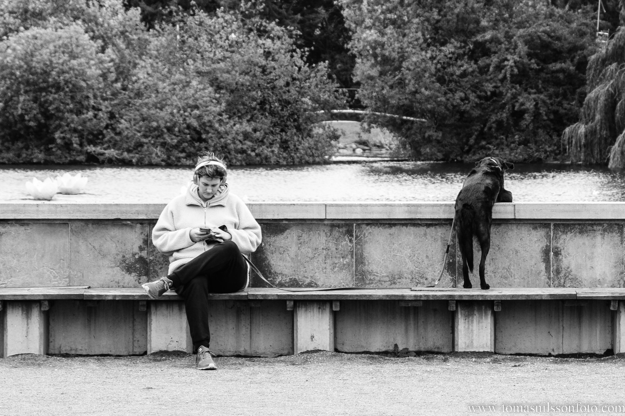 Bird Watcher (Malmö, Sweden, 2022)