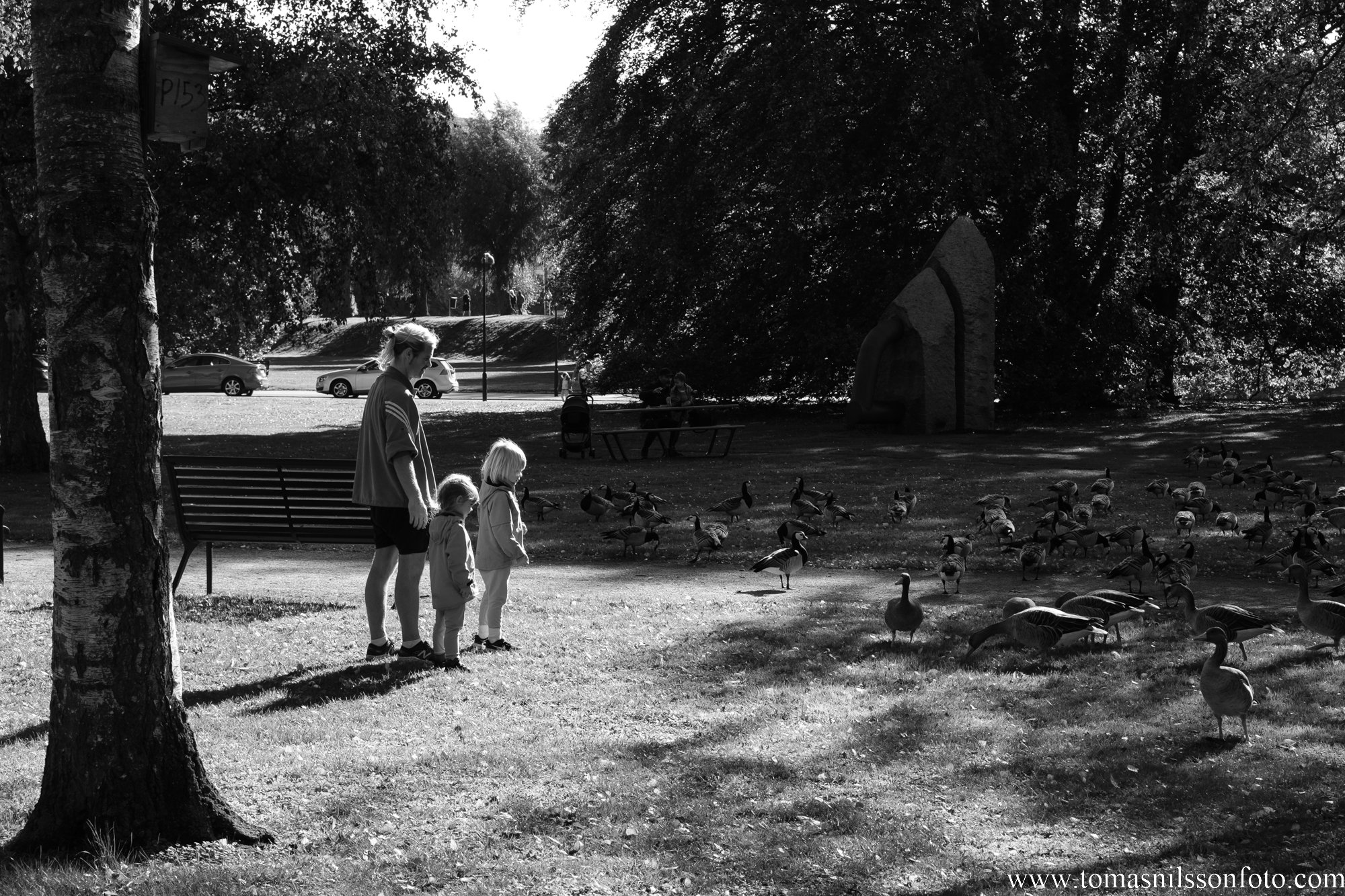 Bird Watchers (Malmö, Sweden 2022)