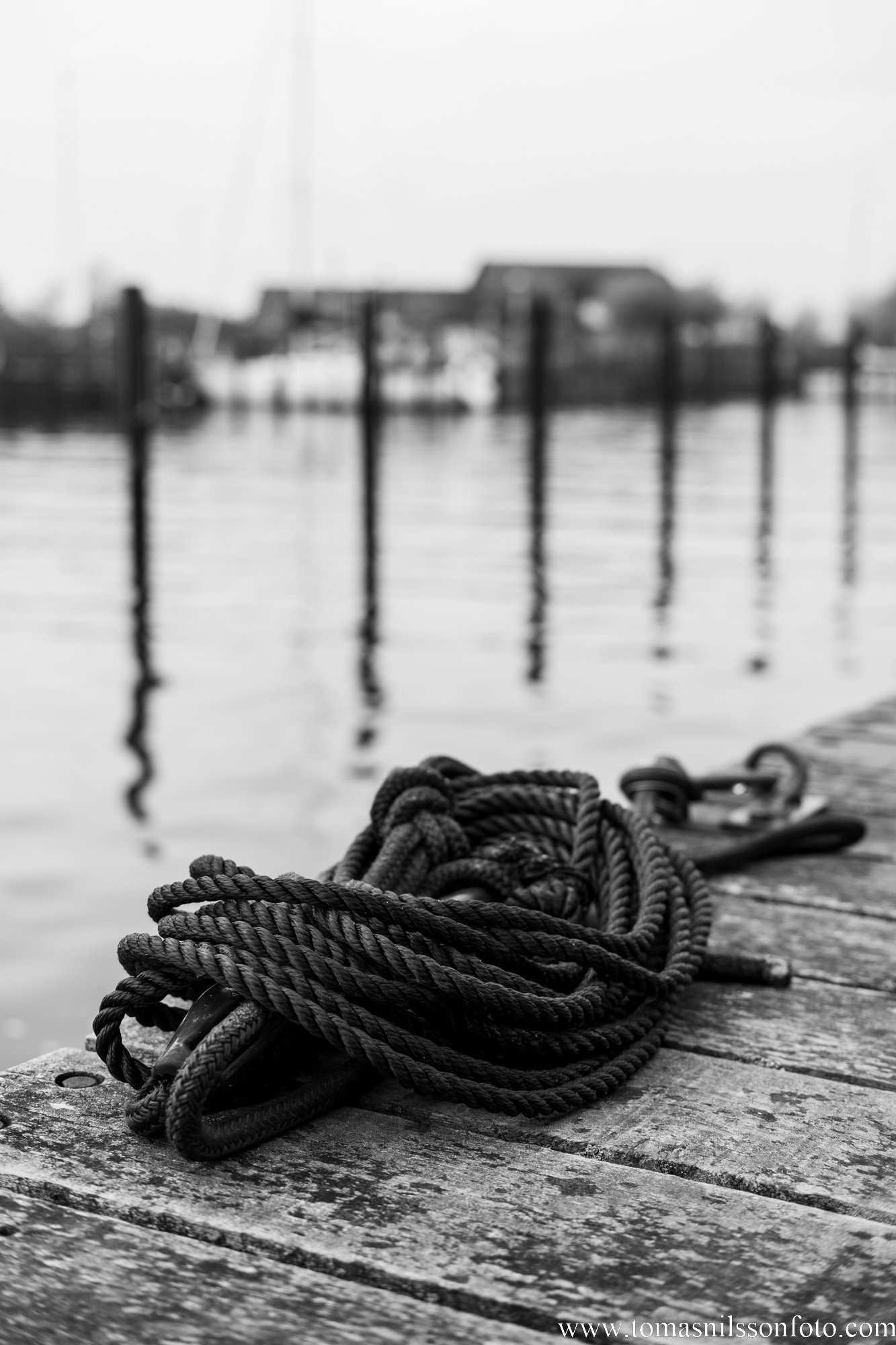 Tied down (Lomma, Sweden, 2022)