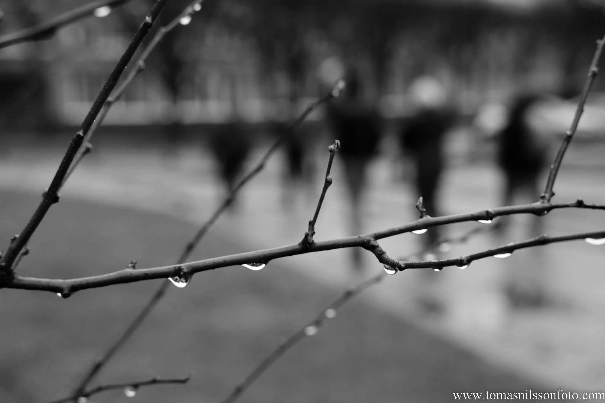 First photos of the year