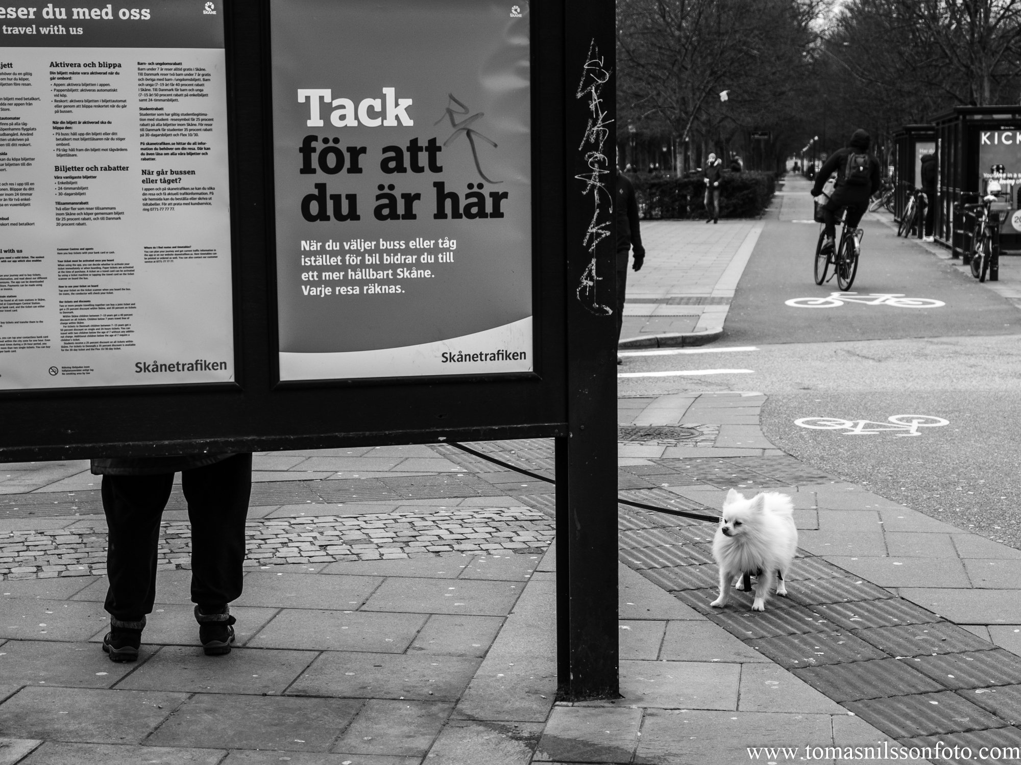 No mom...I'll wait over here for our bus! (Malmö, Sweden, 2024)